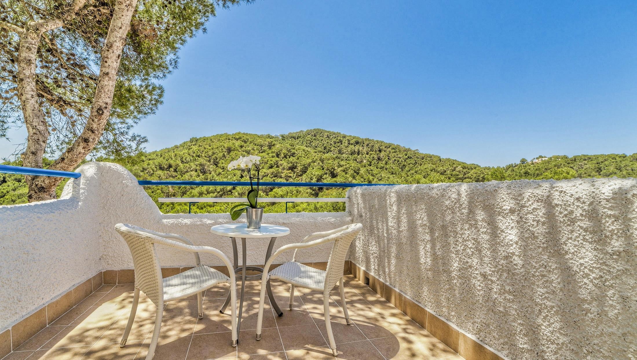 Globales Montemar 12