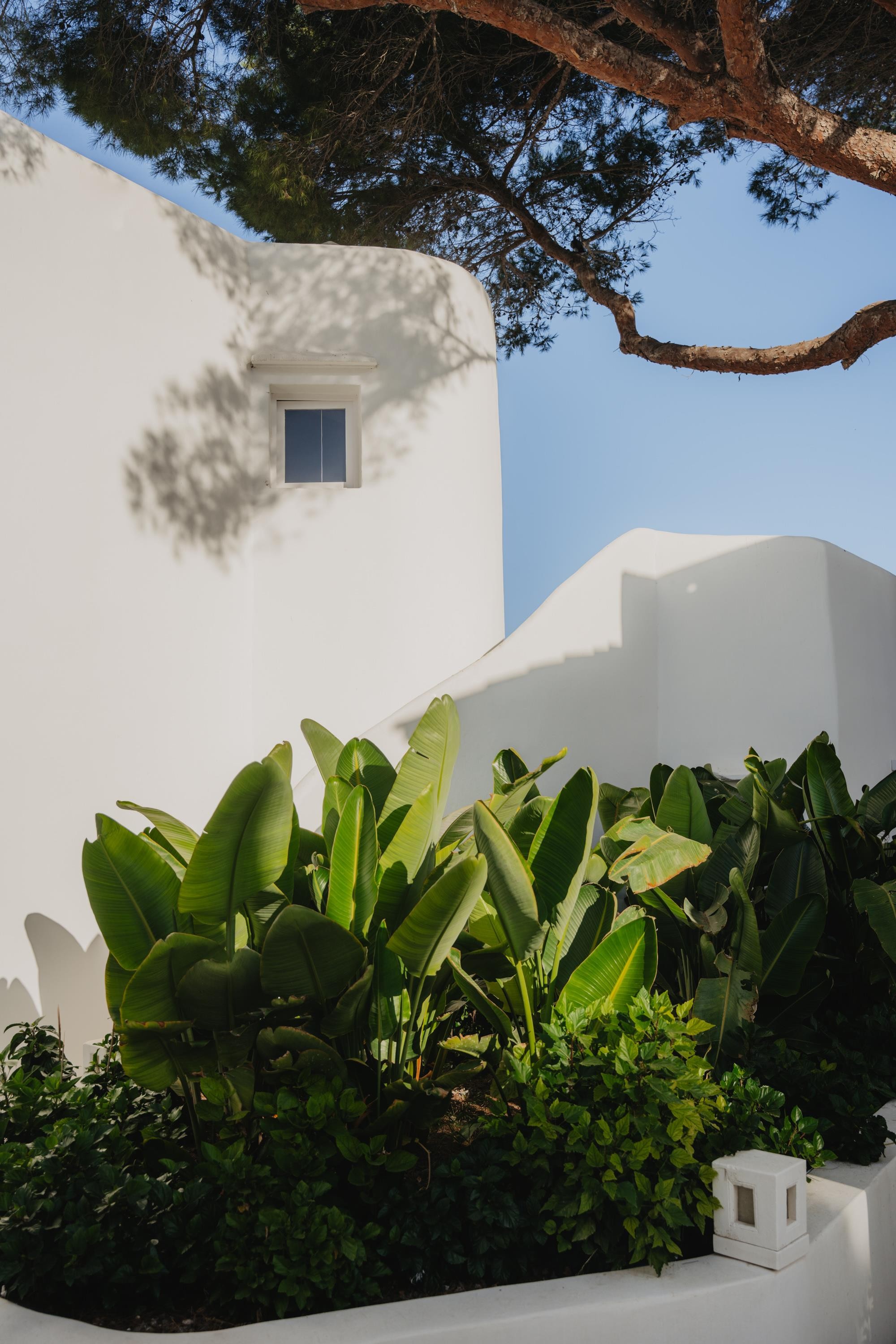 Fergus Style Punta Arabí 12