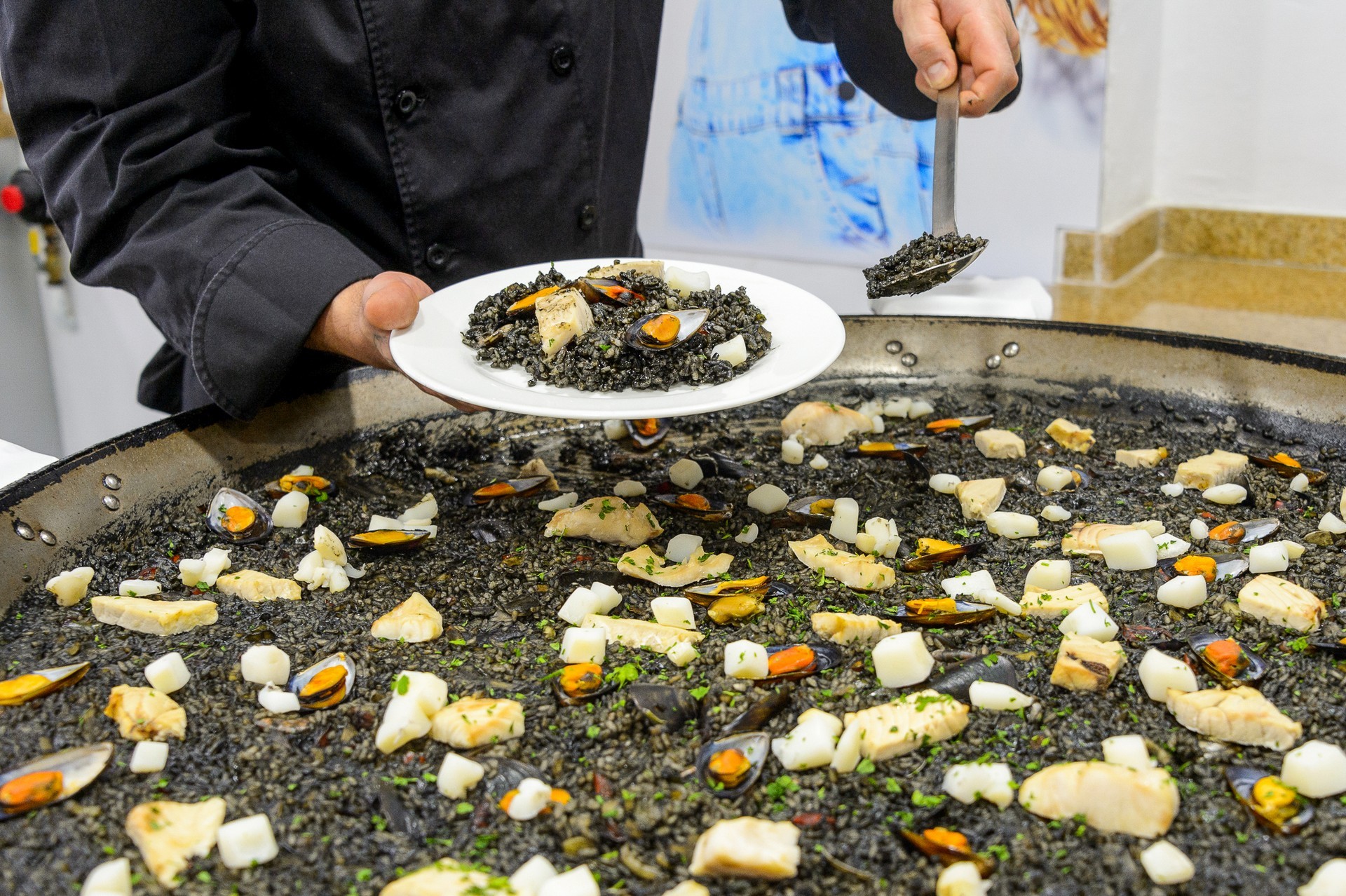 Vibra Mare Nostrum 23