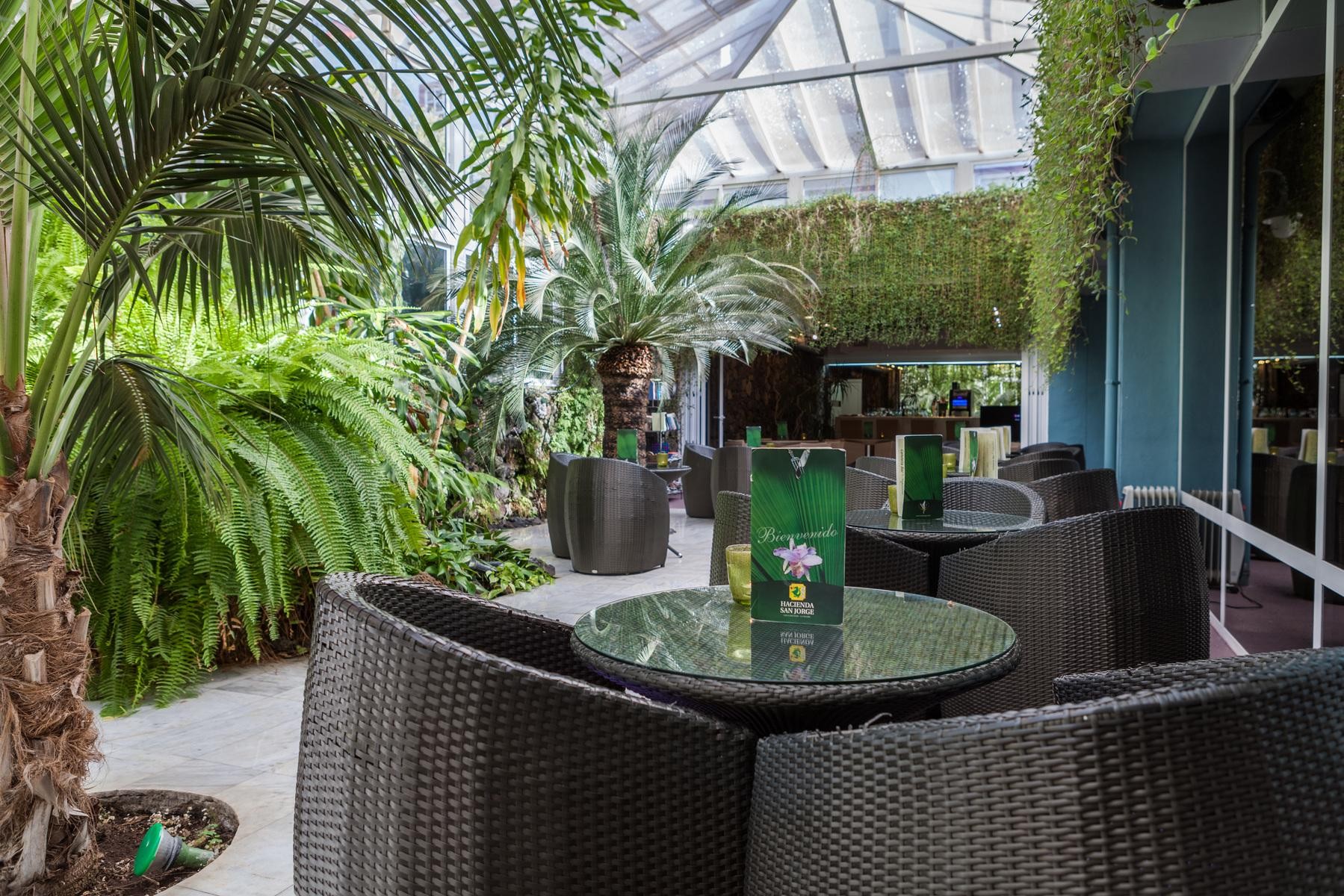 Hacienda San Jorge 12