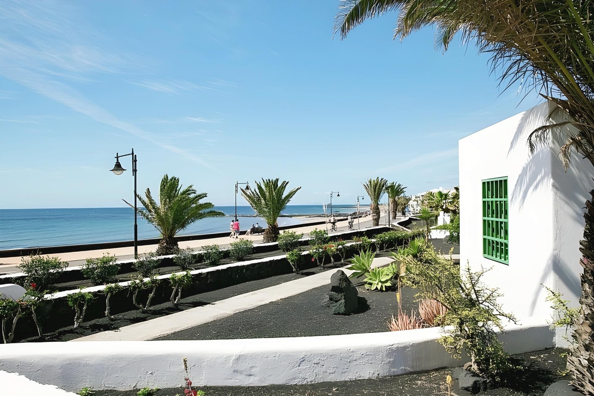 LIVVO Las Gaviotas  12