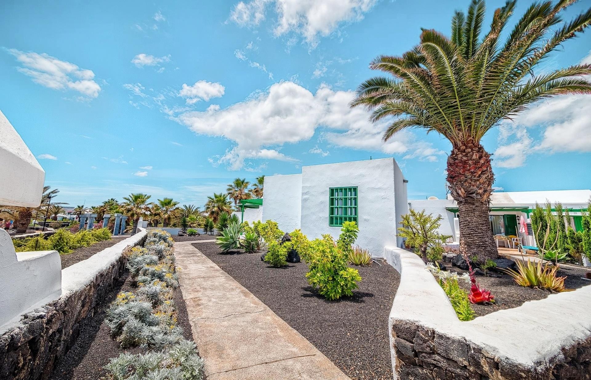 LIVVO Las Gaviotas  3