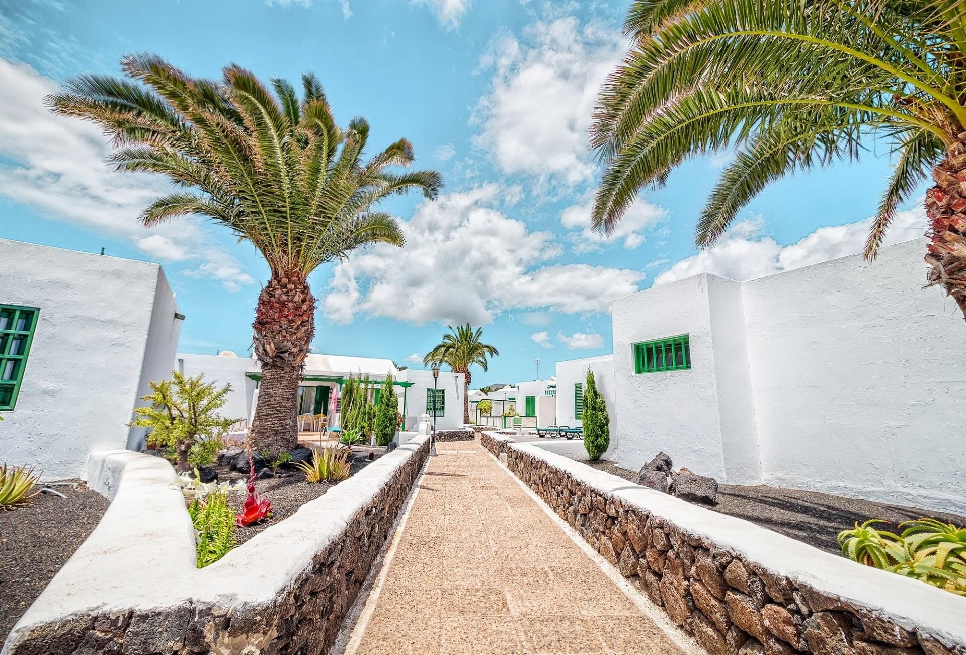 LIVVO Las Gaviotas  22