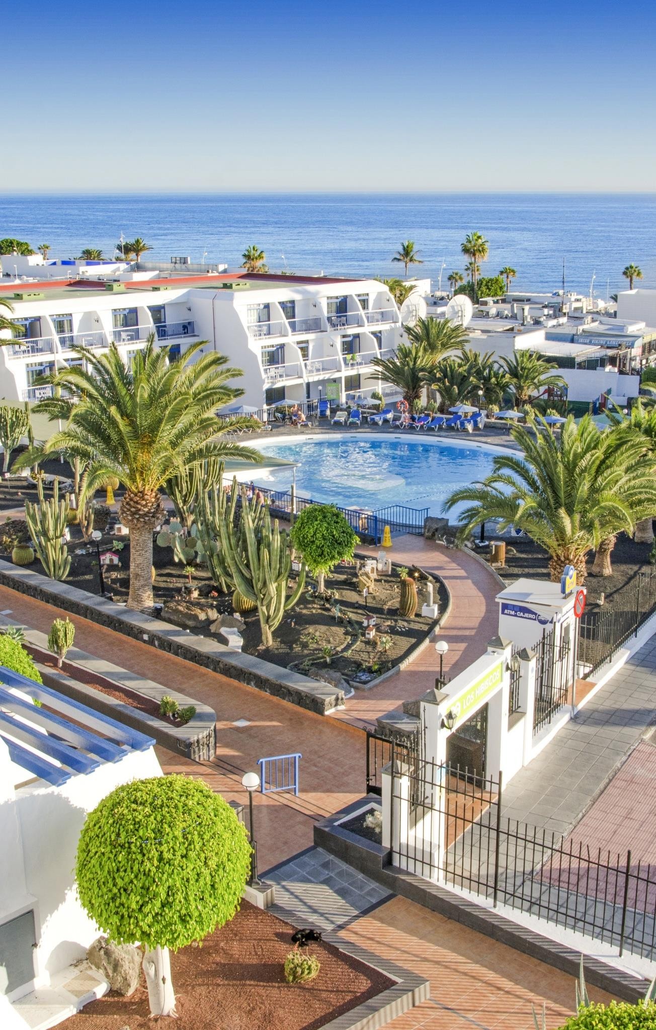 Ereza Los Hibiscos 21