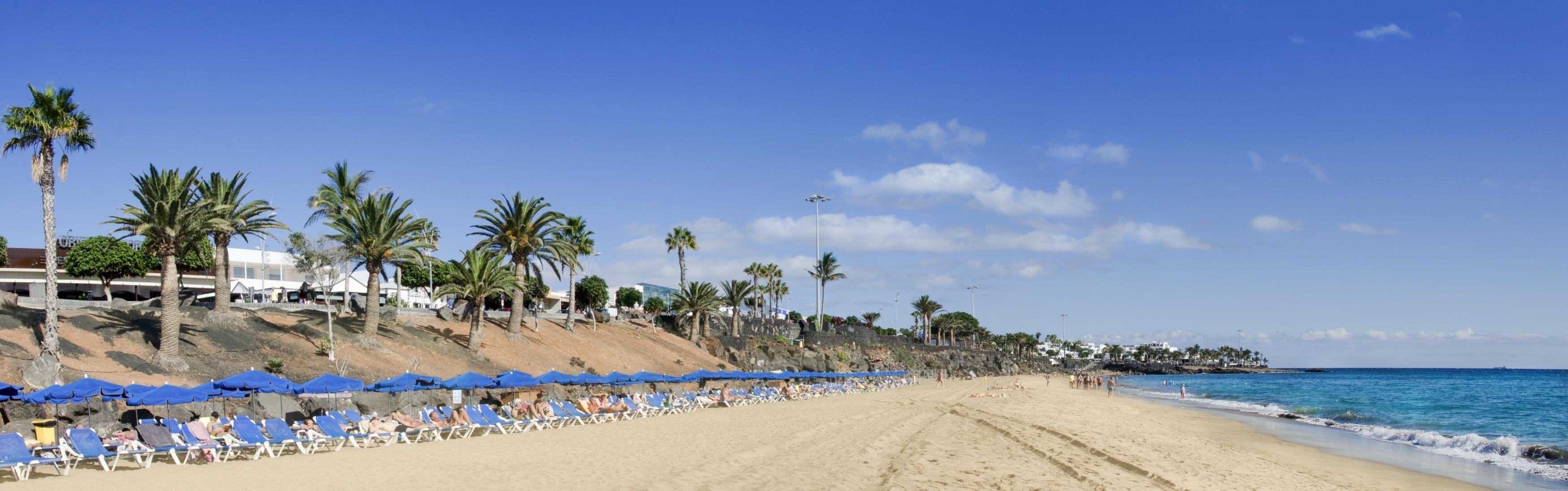 Ereza Los Hibiscos 14