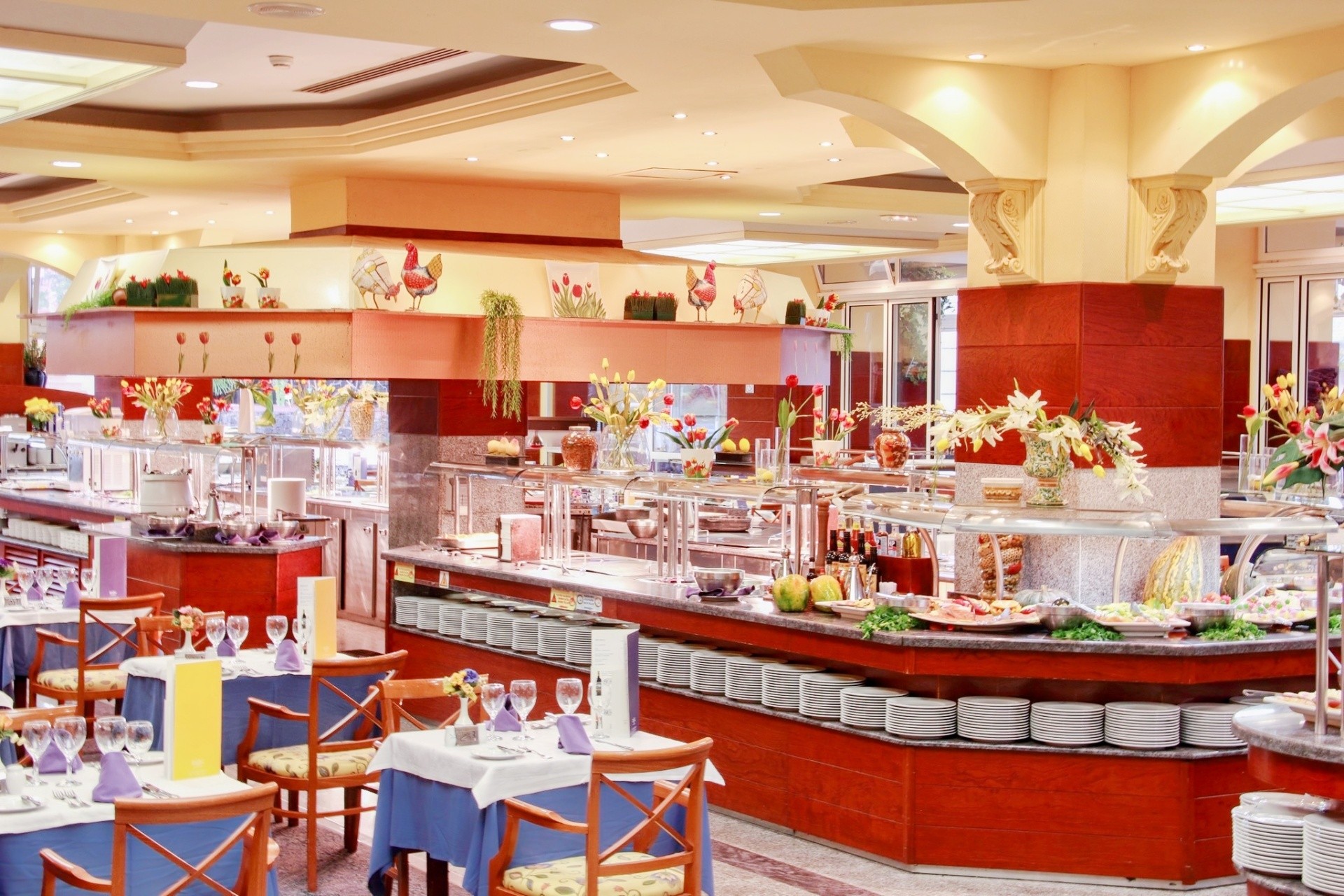 Vik hotel San Antonio 14