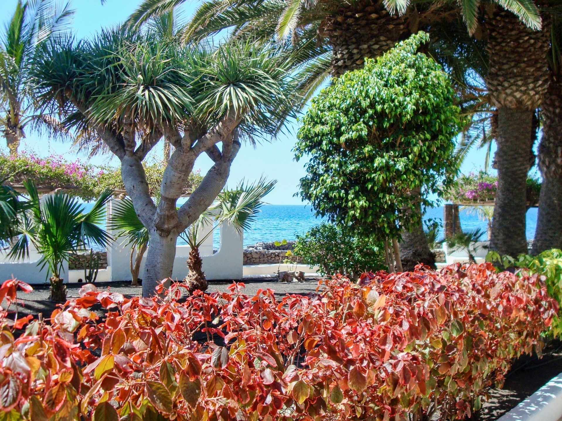 Vik hotel San Antonio 23