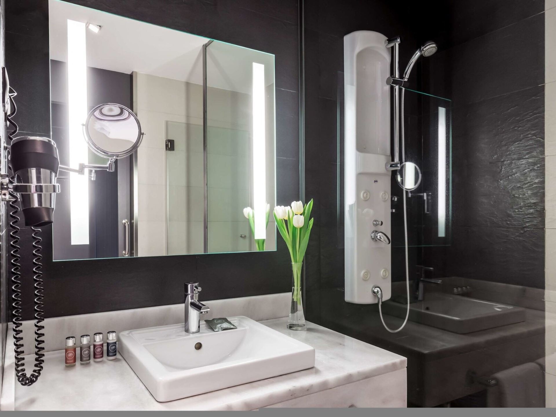 Occidental Castellana Norte 22