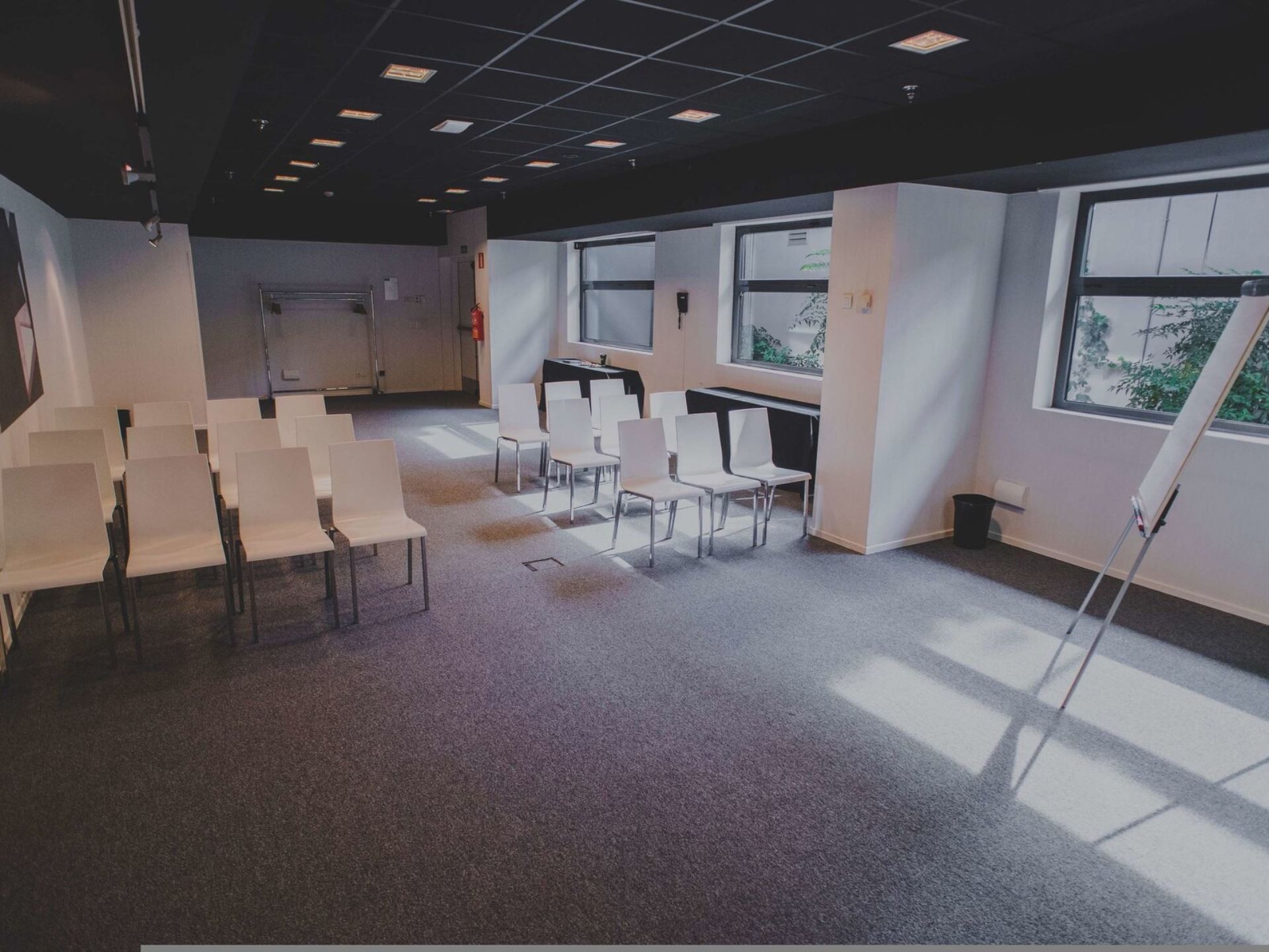 Occidental Castellana Norte 19