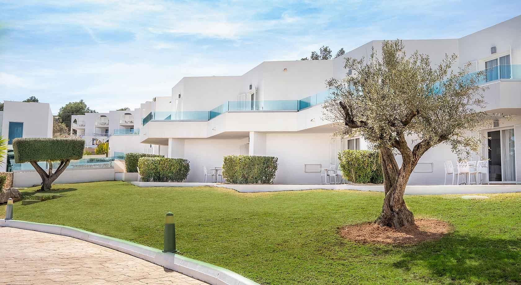 Marsenses Ferrera Blanca Adults Only 3