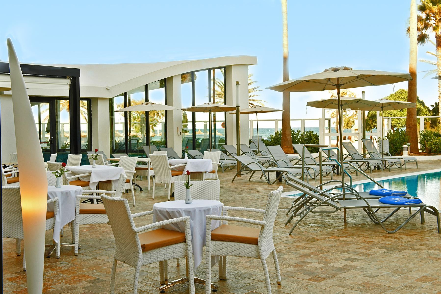 Hipocampo Hipotels 7