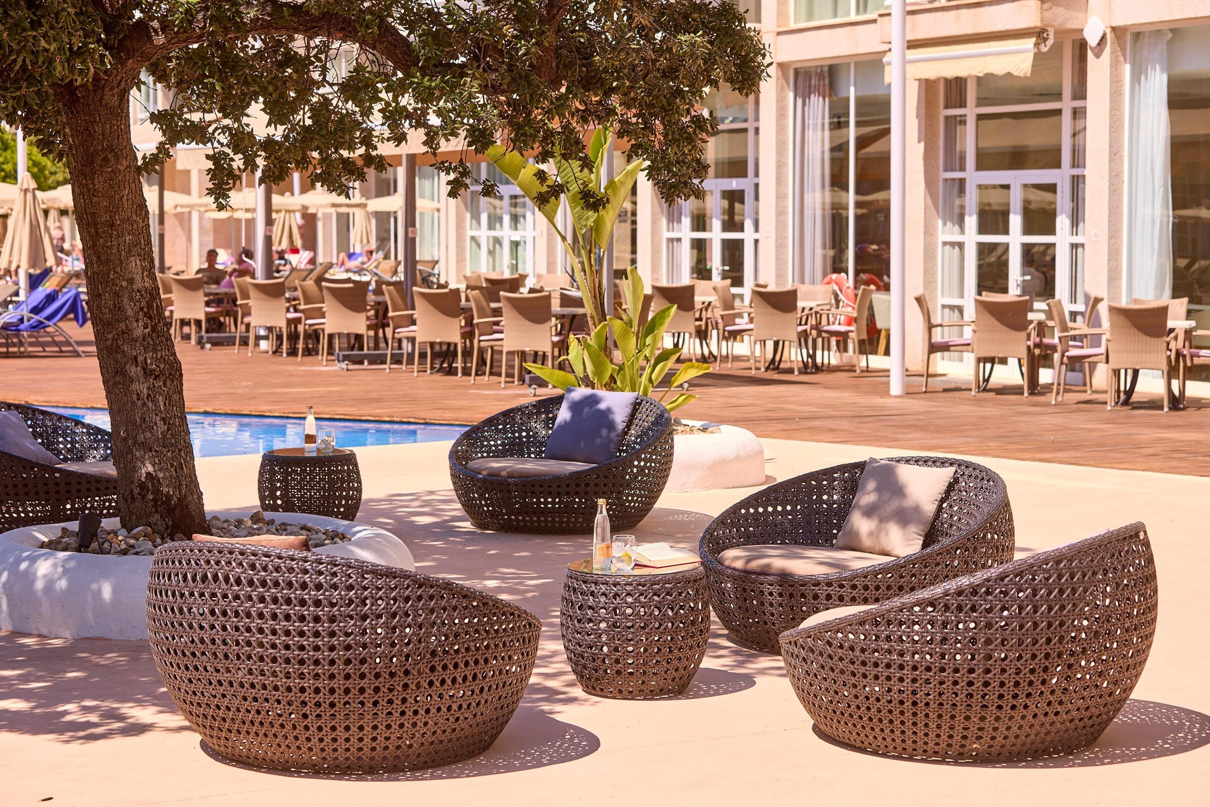 Zafiro Alzinar Mar 23