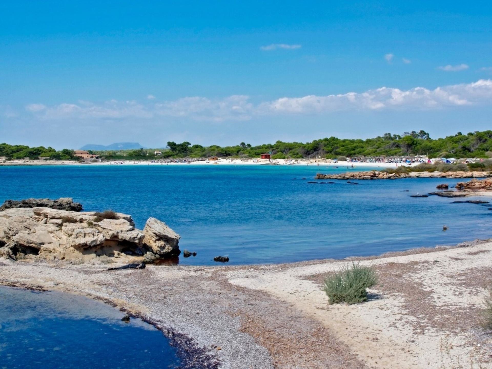 Isla de Cabrera Aparthotel 6