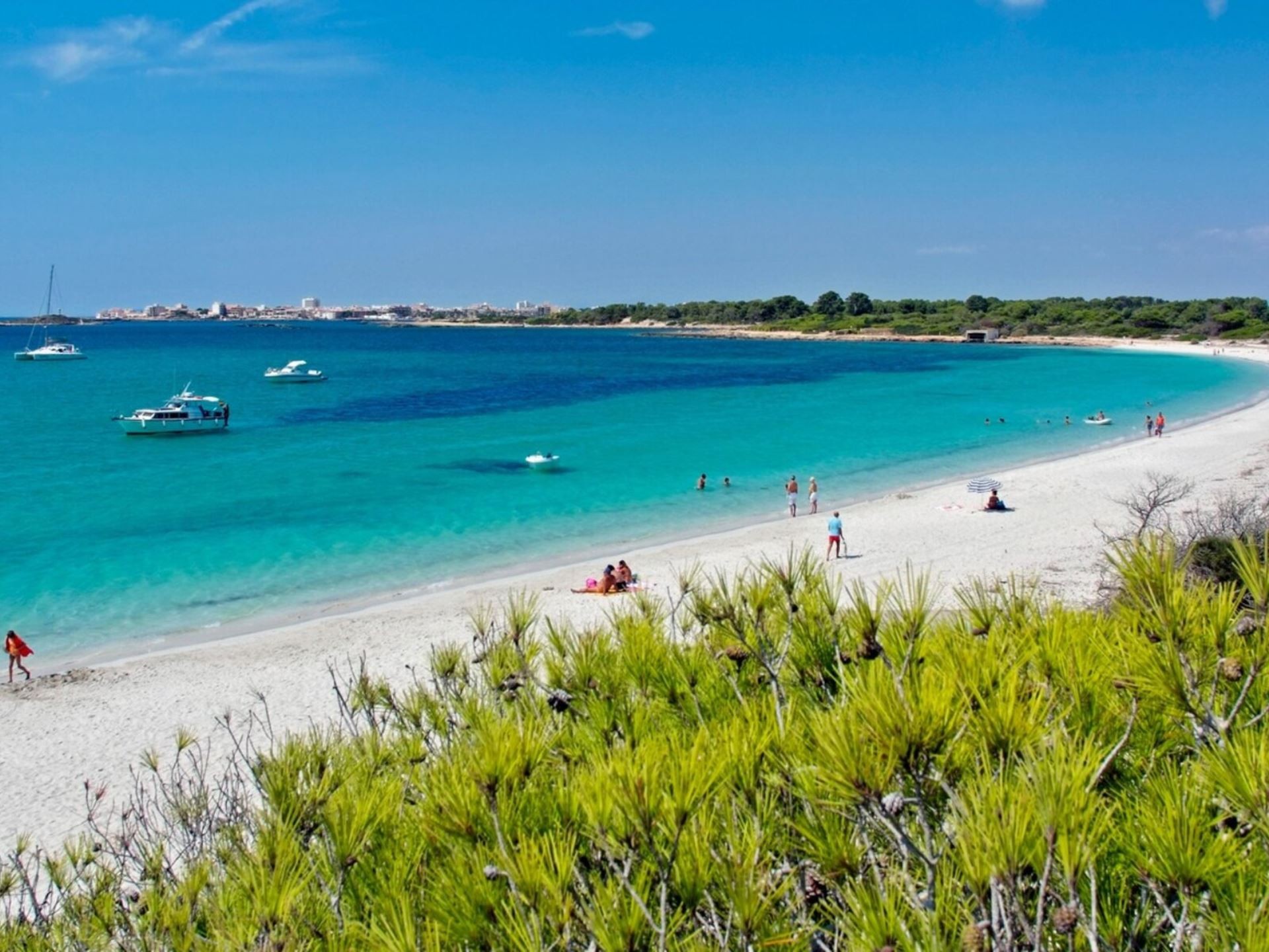 Isla de Cabrera Aparthotel 7