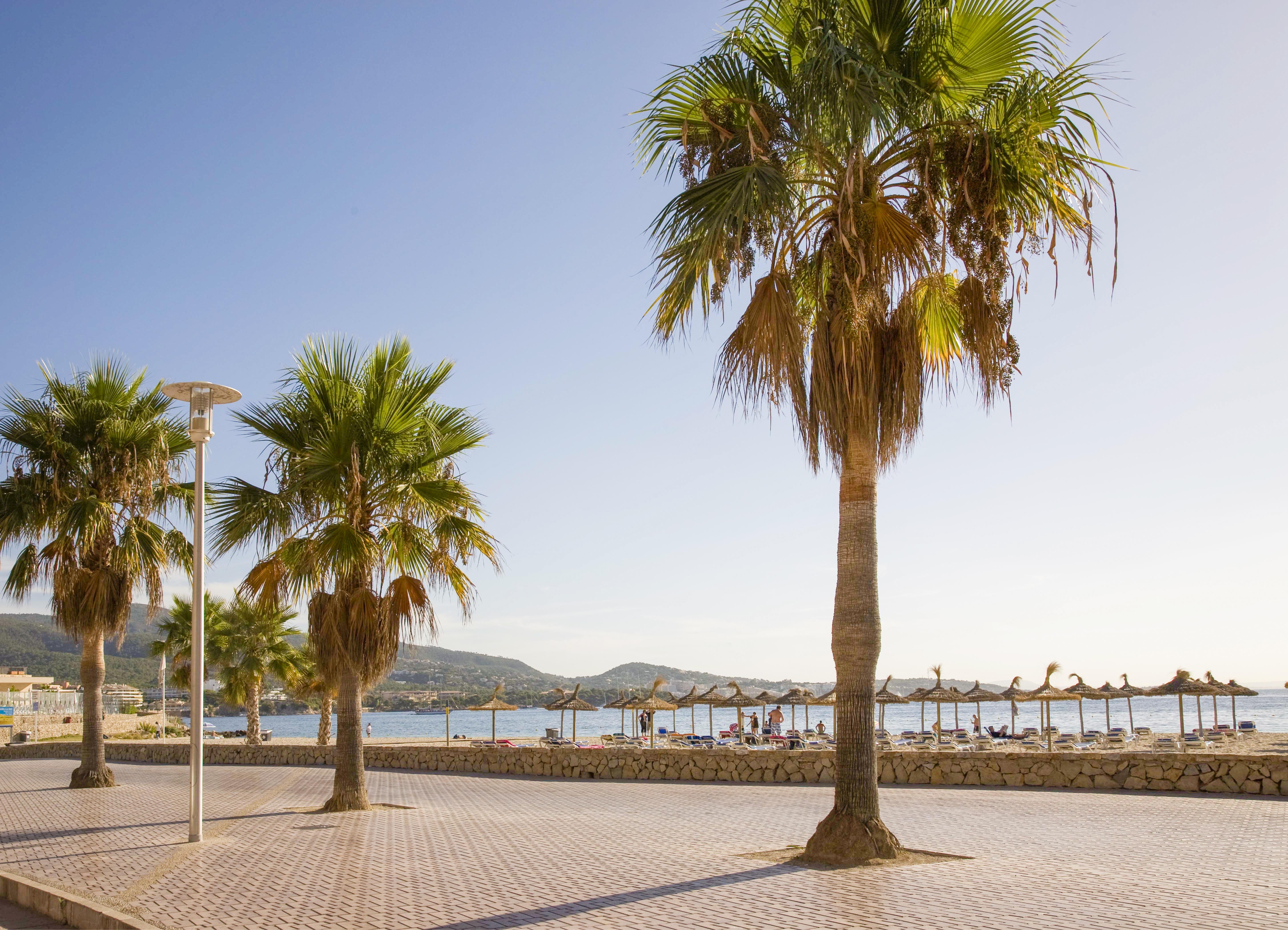 Globales Panamá - Only Adults 6