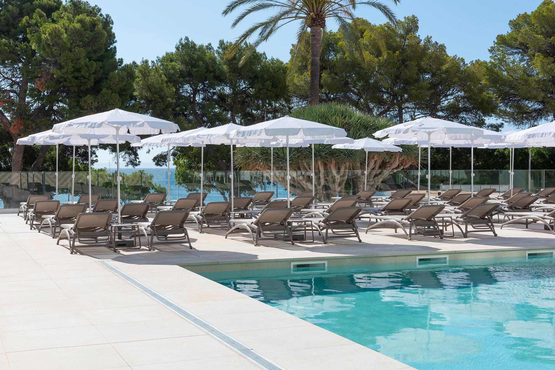 Palia Tropico Playa 12