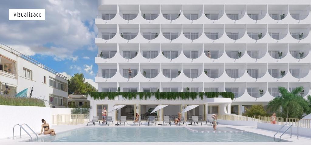 Vibra Palma Cactus 2