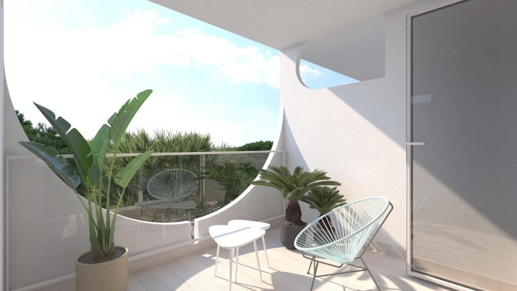 Vibra Palma Cactus 6