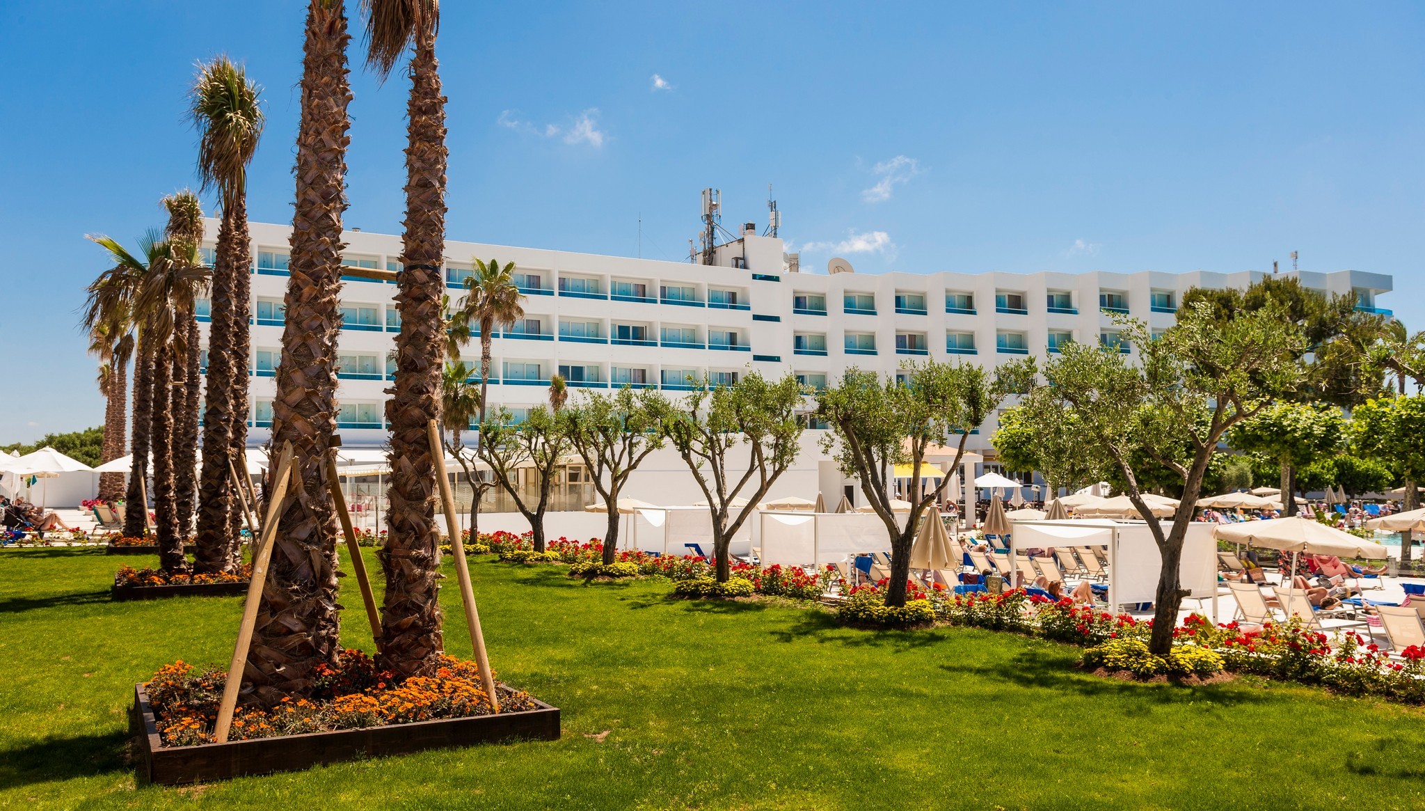 Globales Mediterrani 27