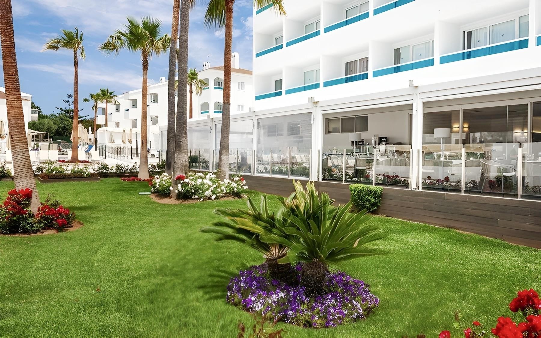 Globales Mediterrani 26