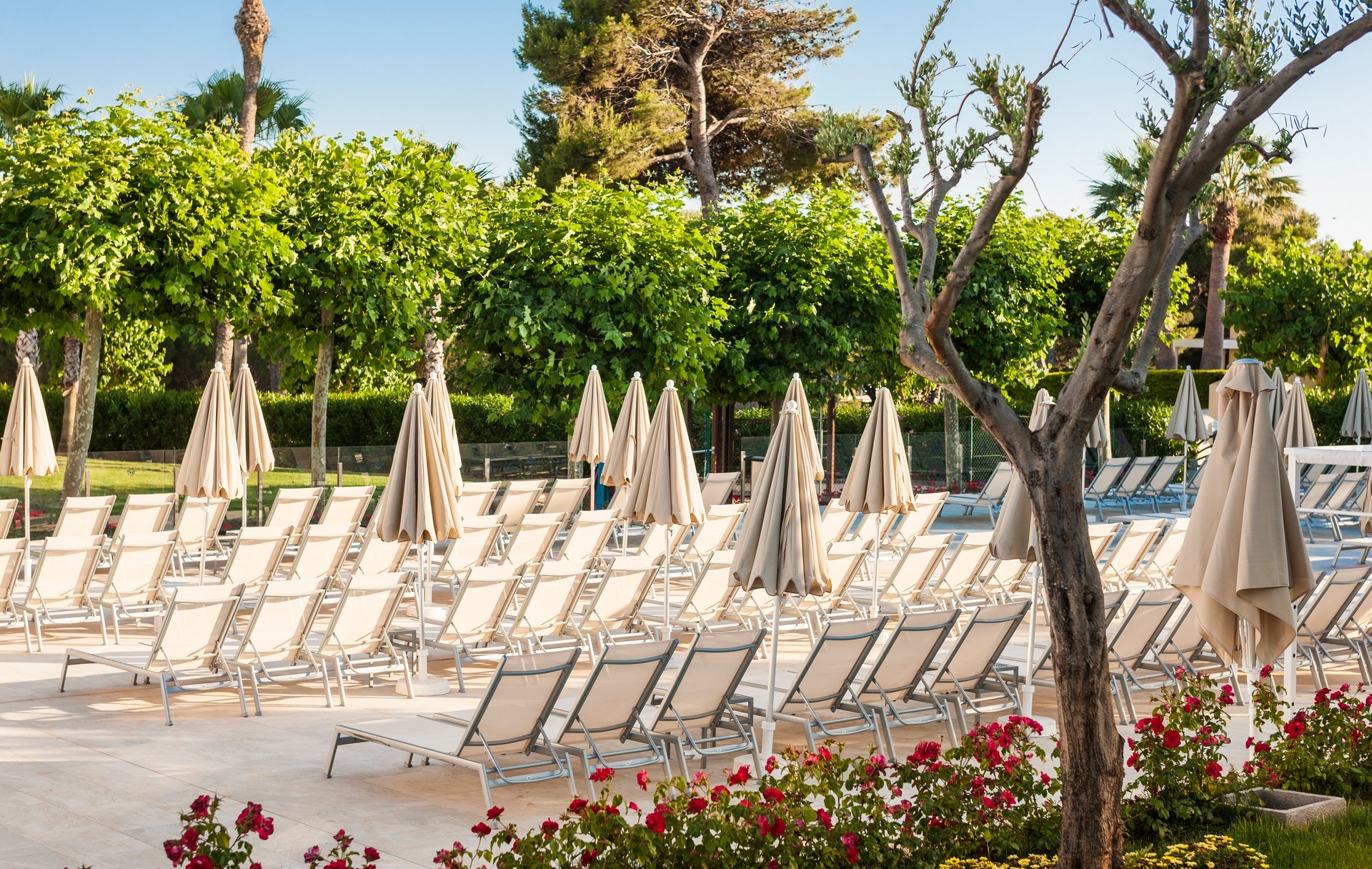 Globales Mediterrani 13