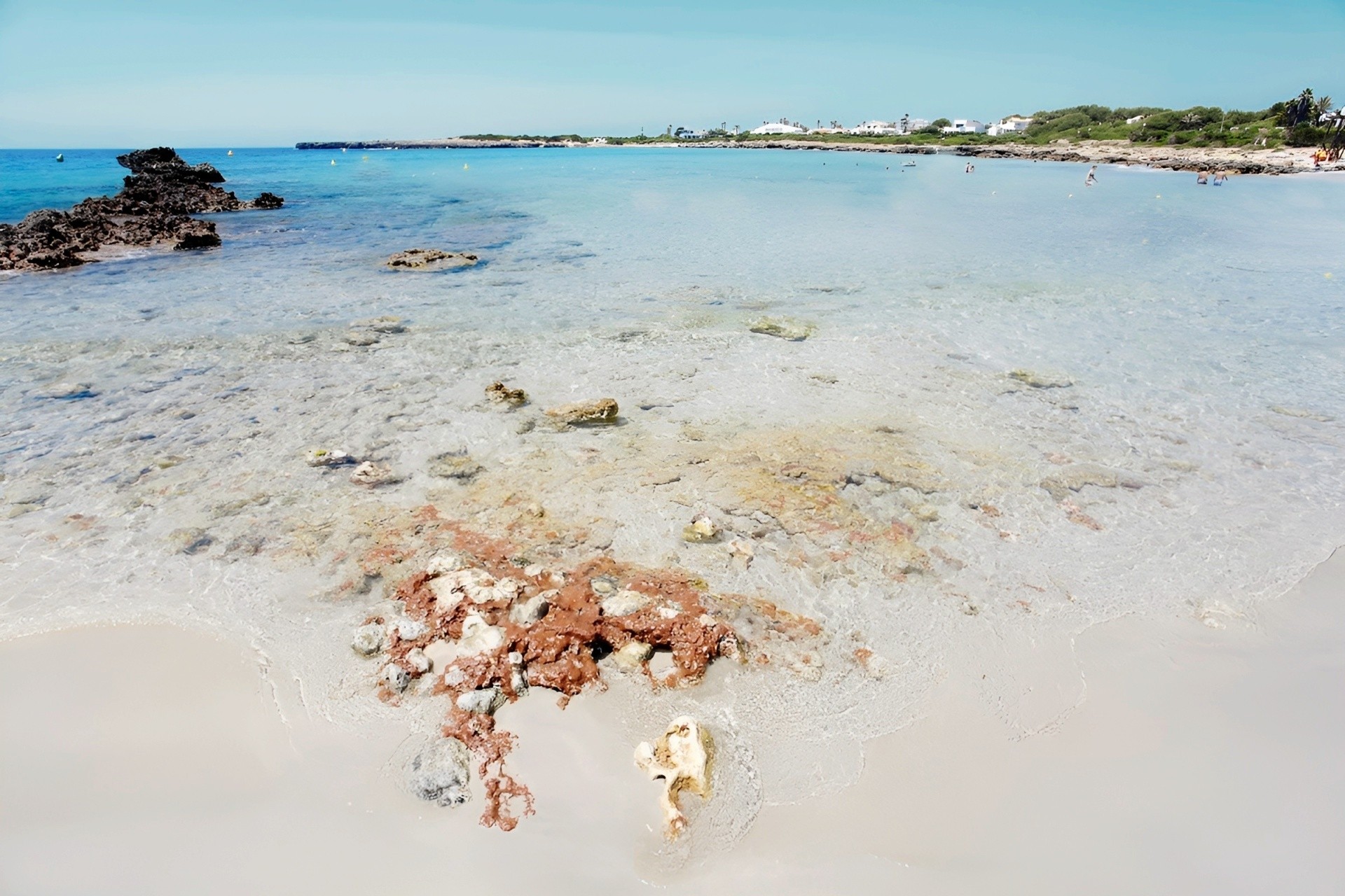 Grupotel Playa Club 23