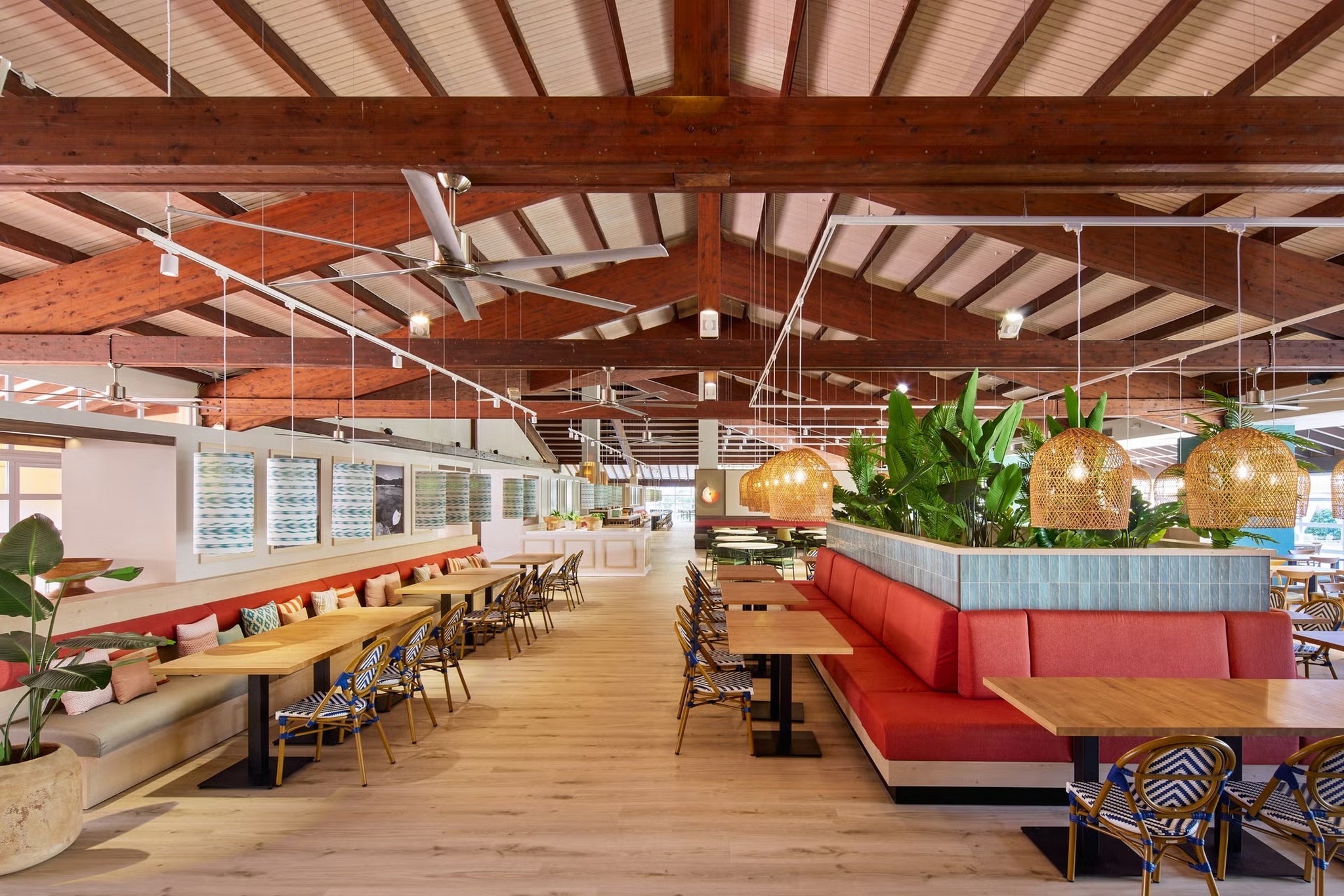 Sol Falcó Menorca 19