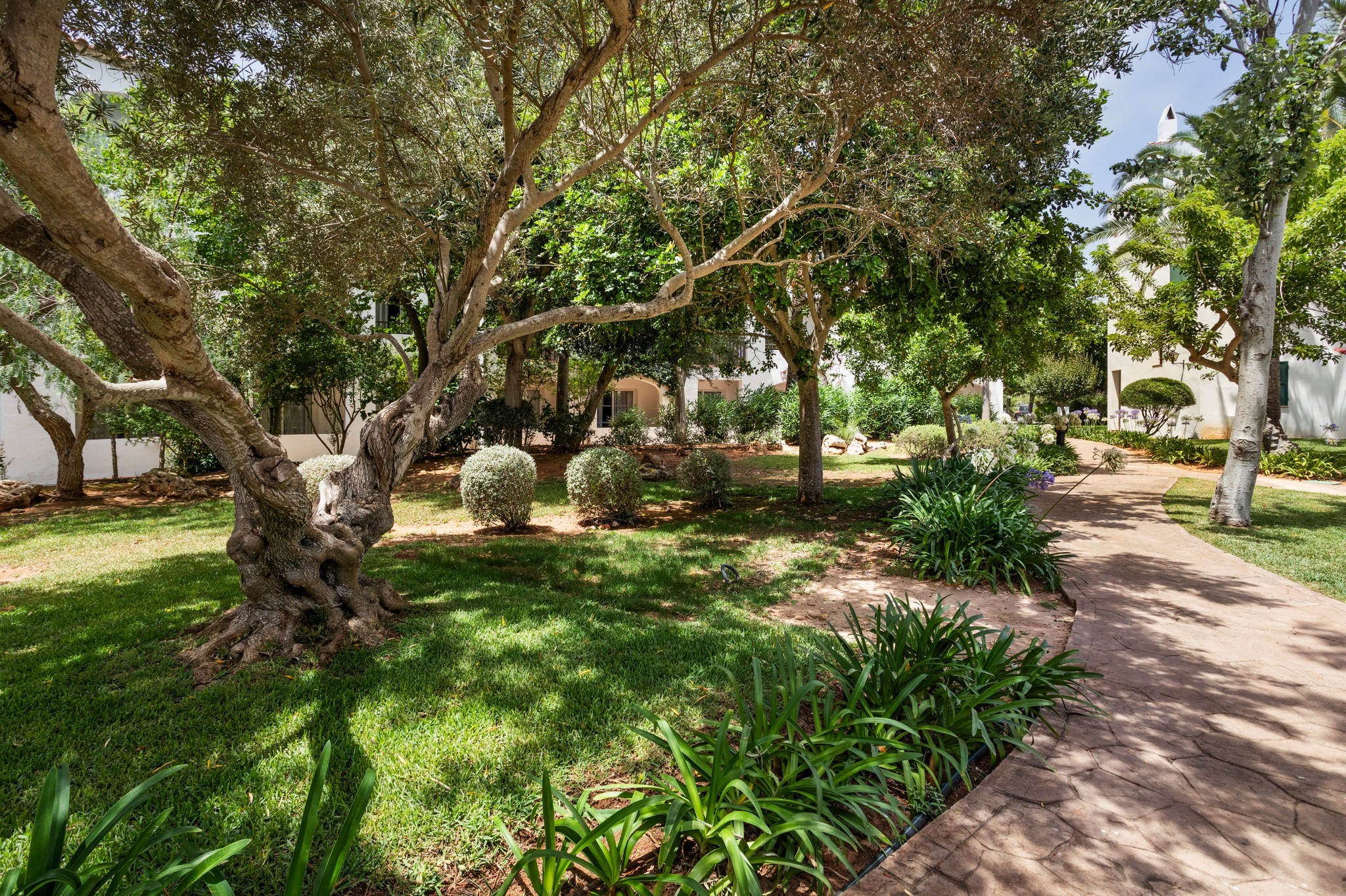 Sol Falcó Menorca 26