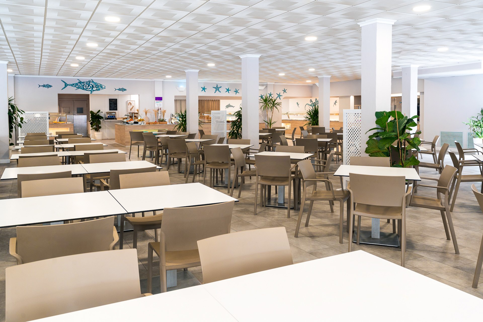 Fergus Club Carema Splash 19