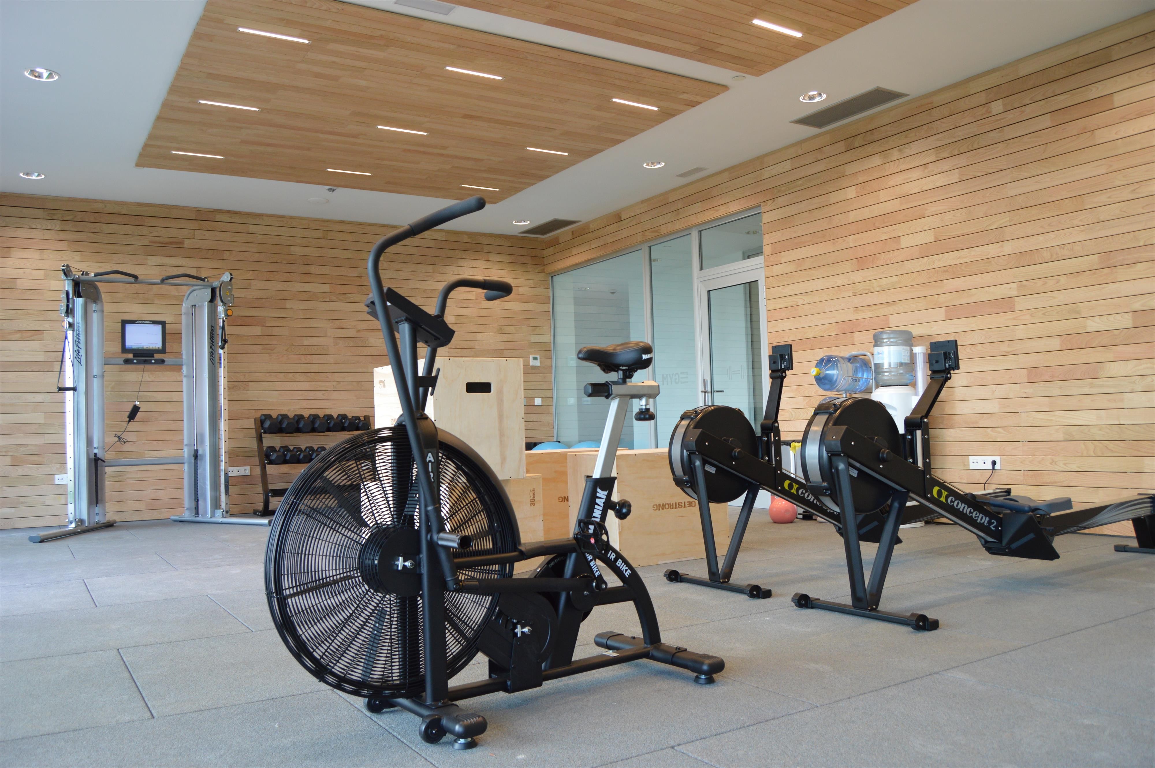 Seth 55 Santo Tomas 12