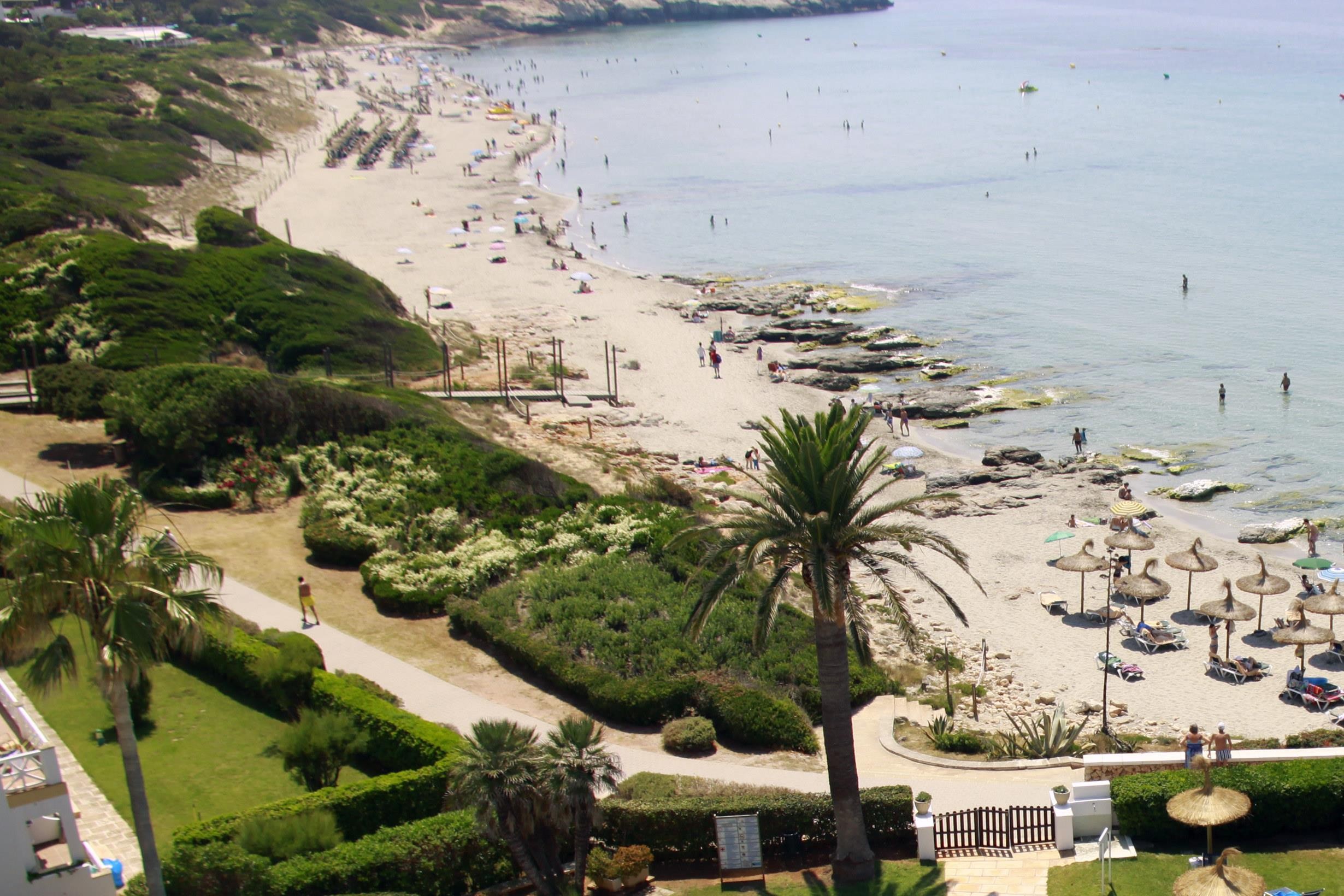 Seth 55 Santo Tomas 14