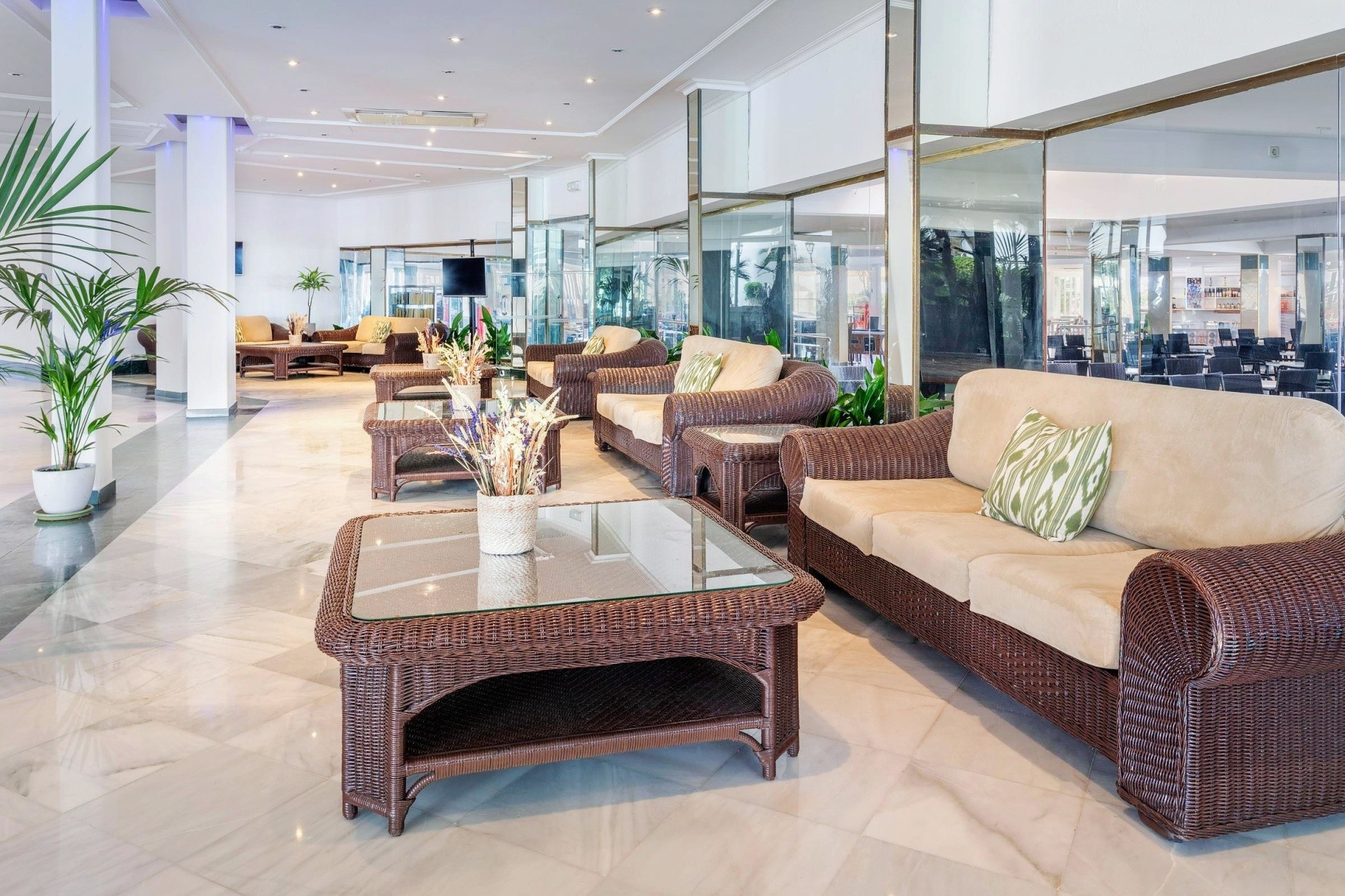 Sol Milanos Pingüinos 29