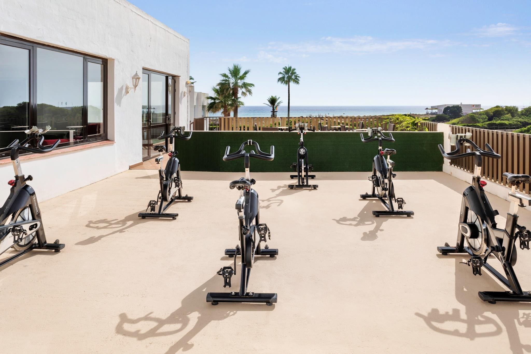 Sol Milanos Pingüinos 27