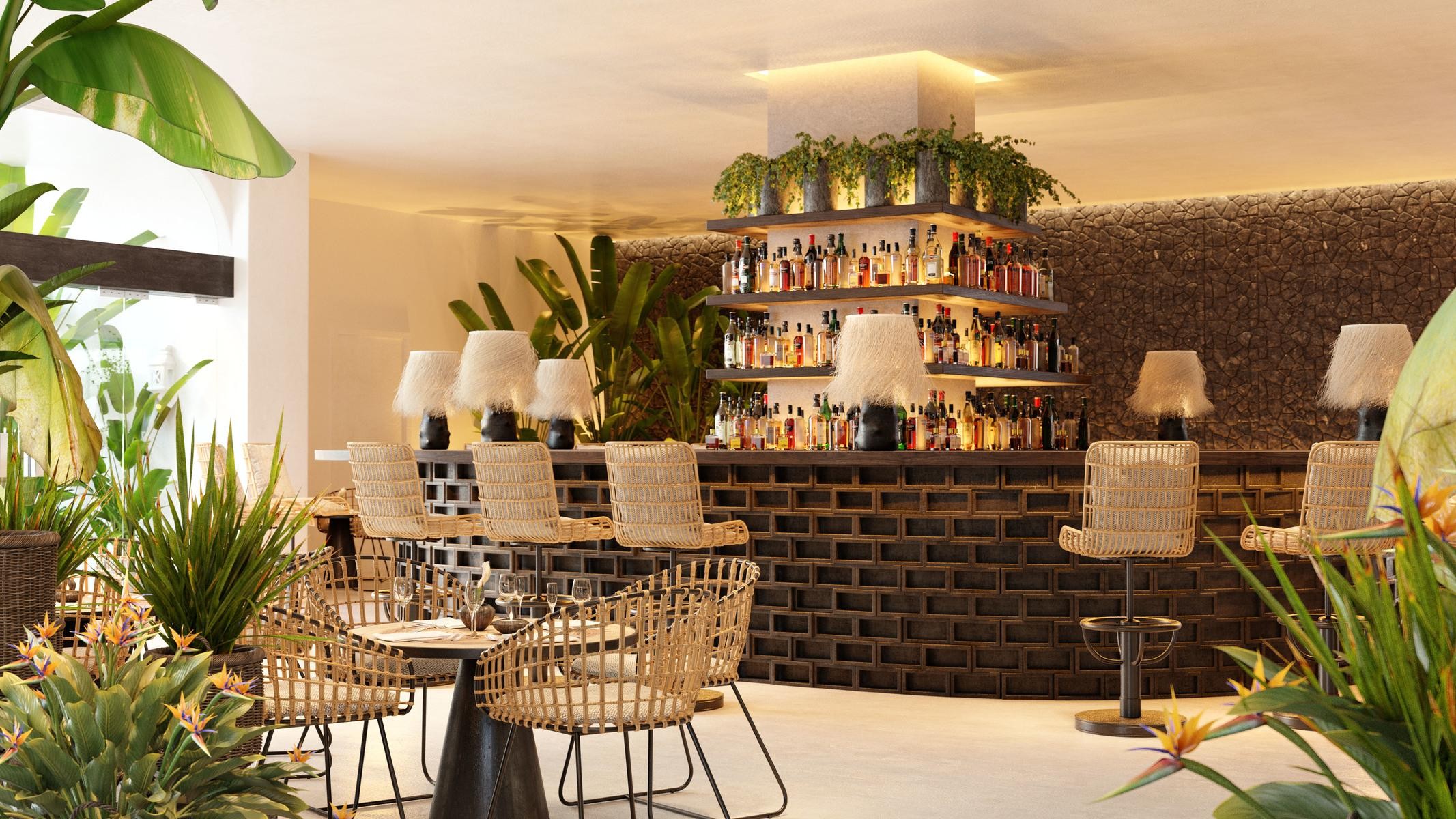 Dreams Jardin Tropical 8