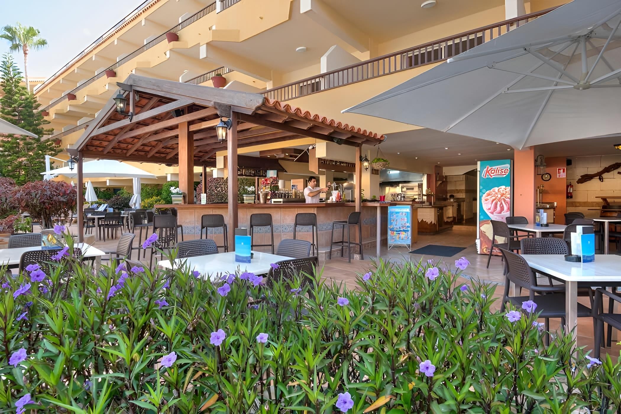 Hovima Jardin Caleta 12