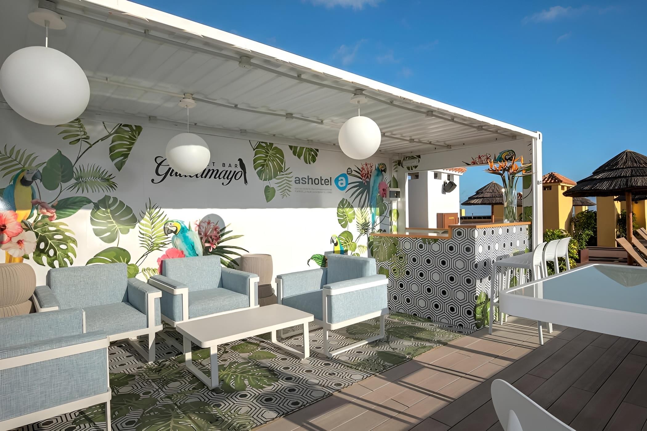 Hovima Jardin Caleta 13