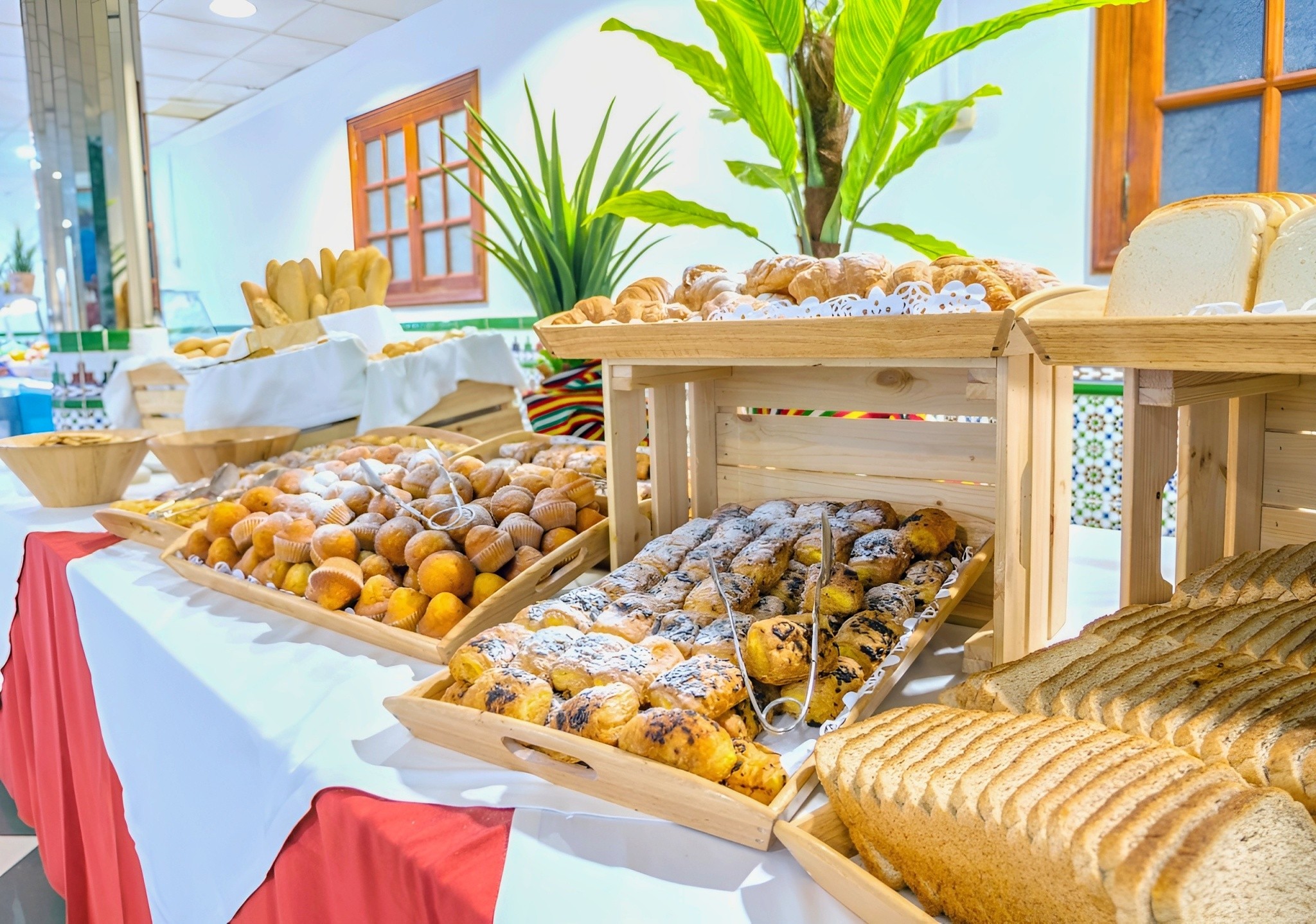 CHECKIN CONCORDIA PLAYA 14