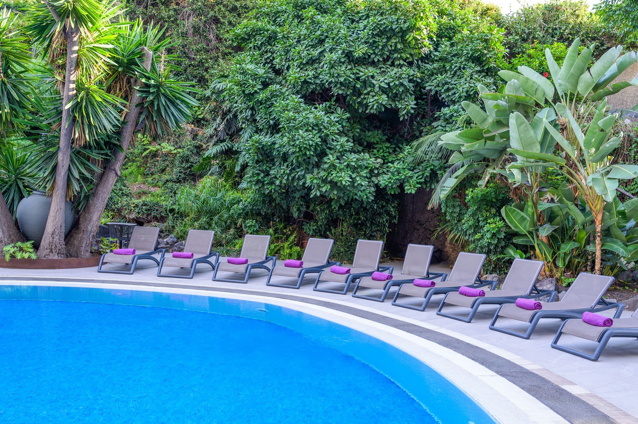 FERGUS PUERTO DE LA CRUZ 28