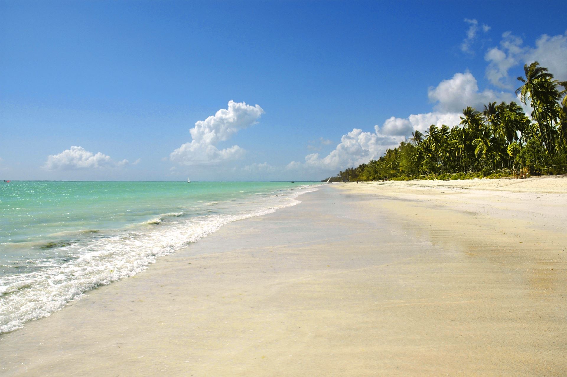 Ocean Paradise Resort 10