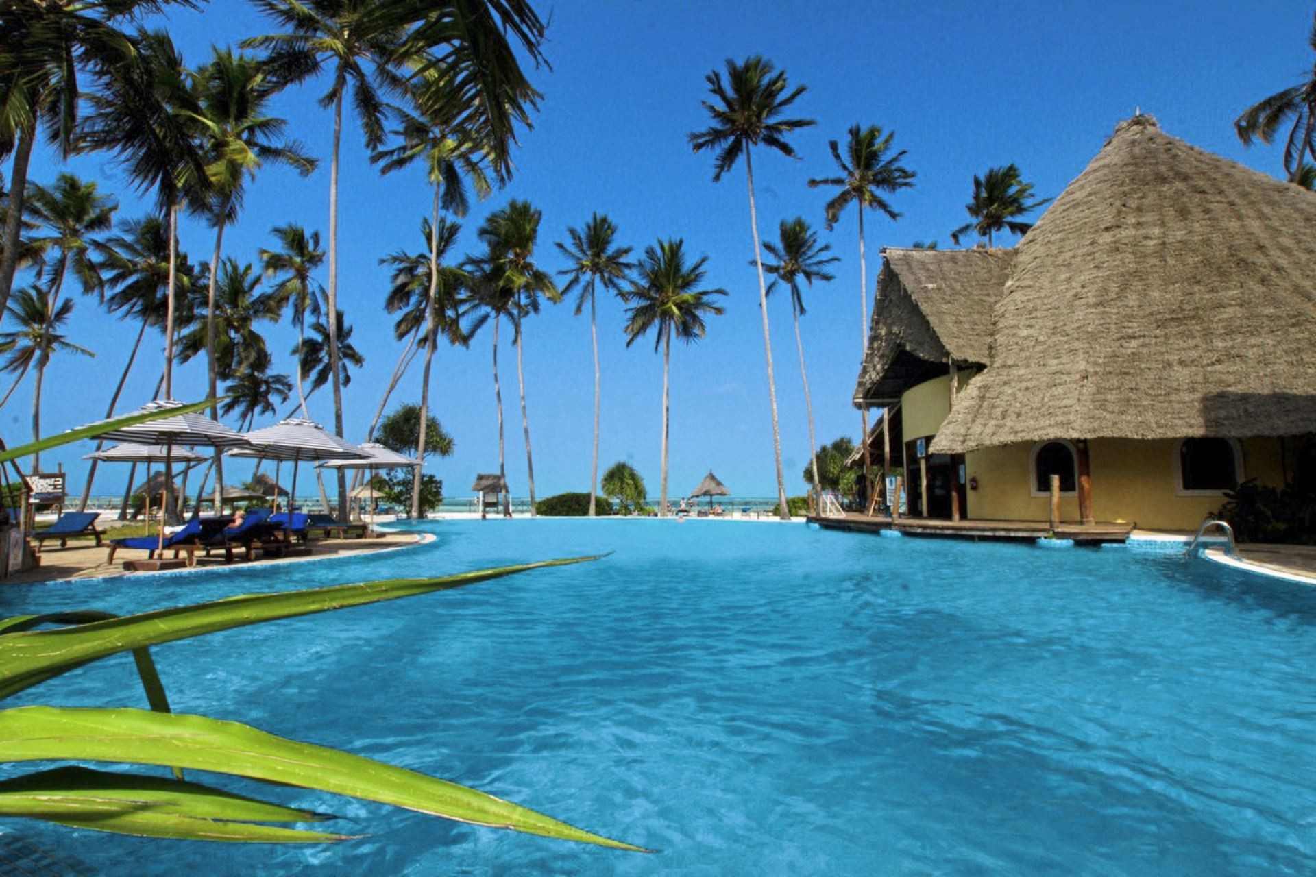 Ocean Paradise Resort 6