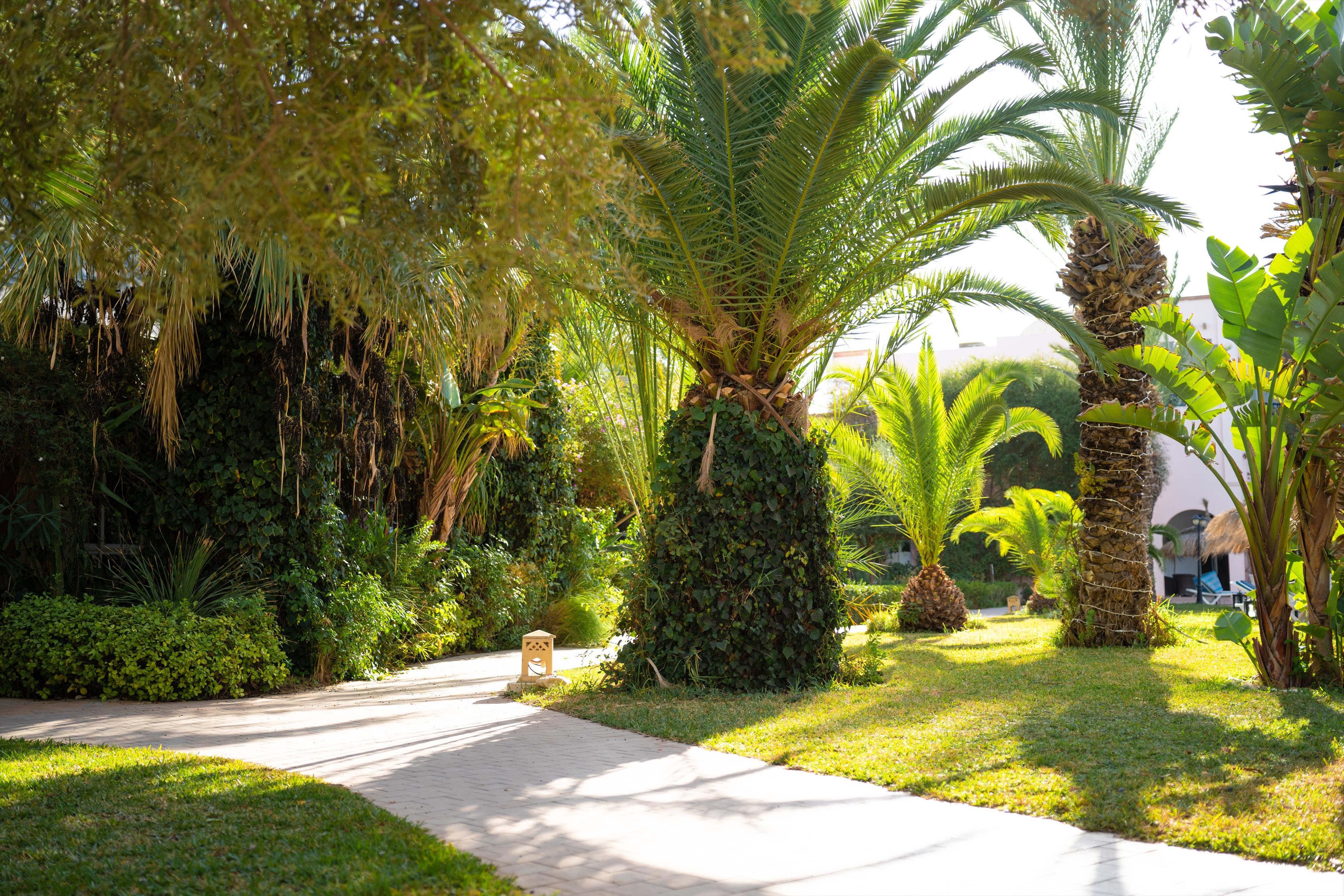 Eden Yasmine Resort & Spa 15