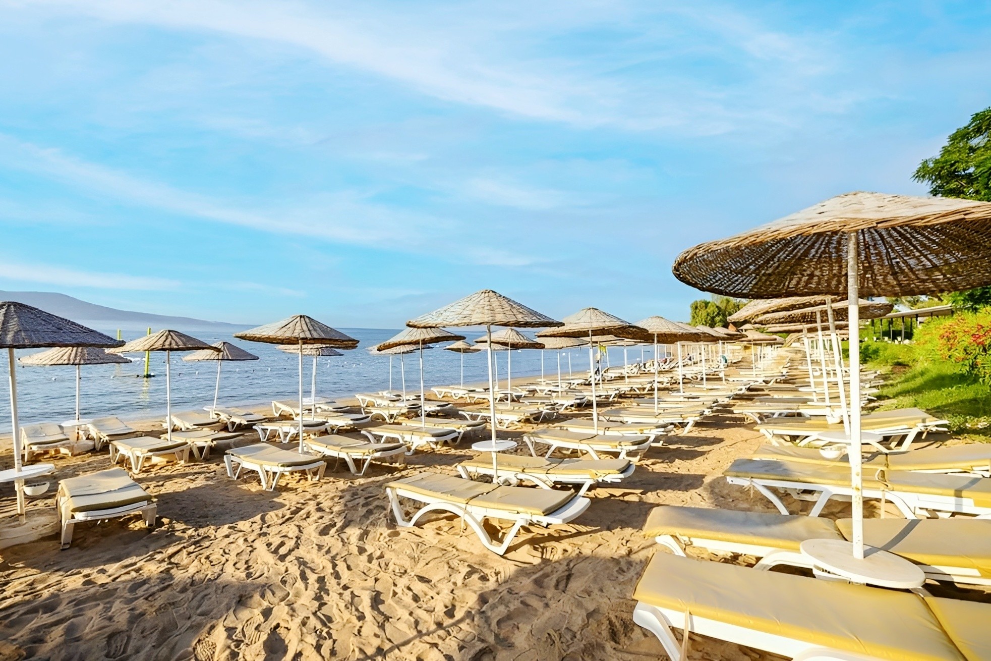 THE HOLIDAY RESORT 7