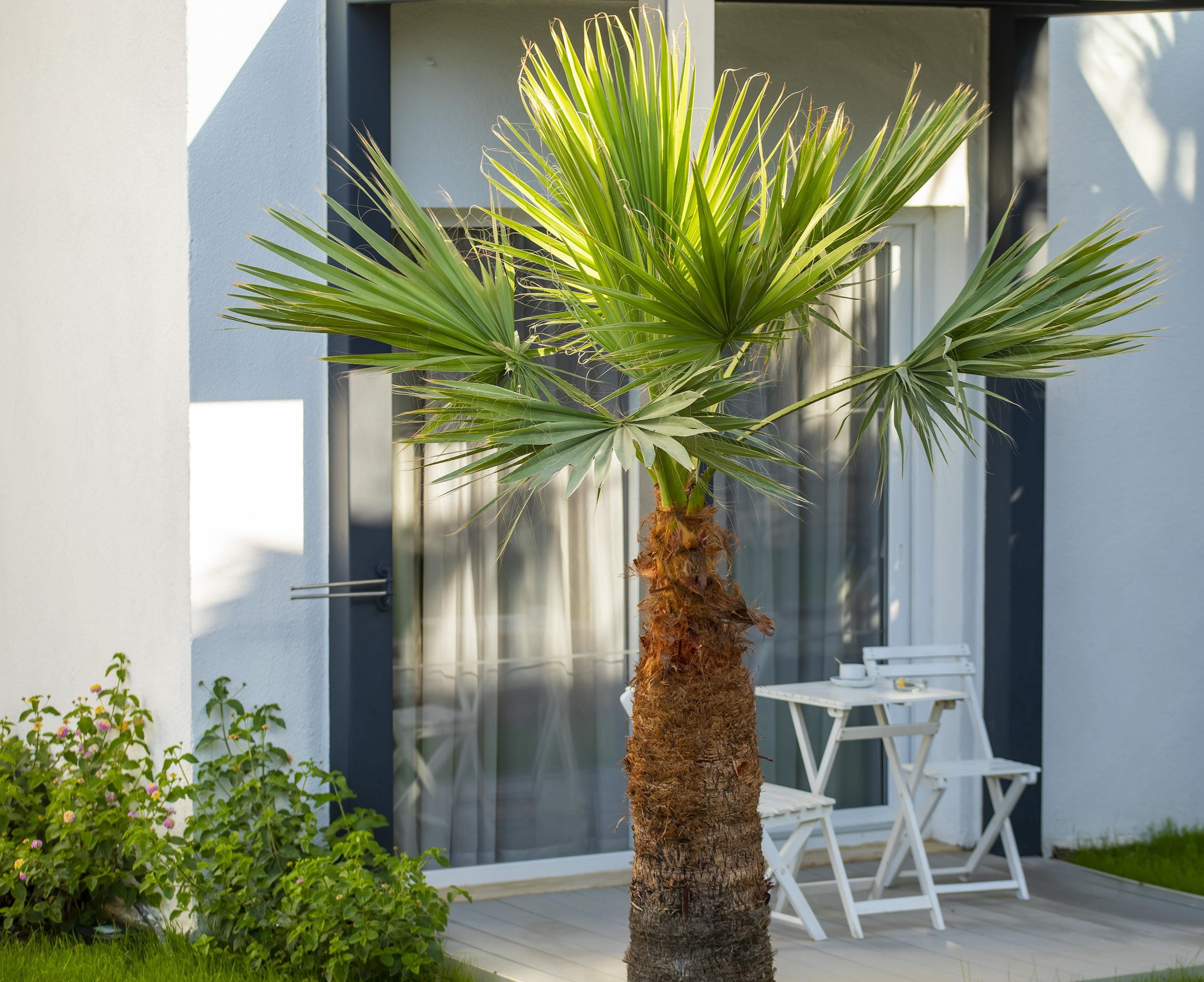 Charm Beach Hotel 26