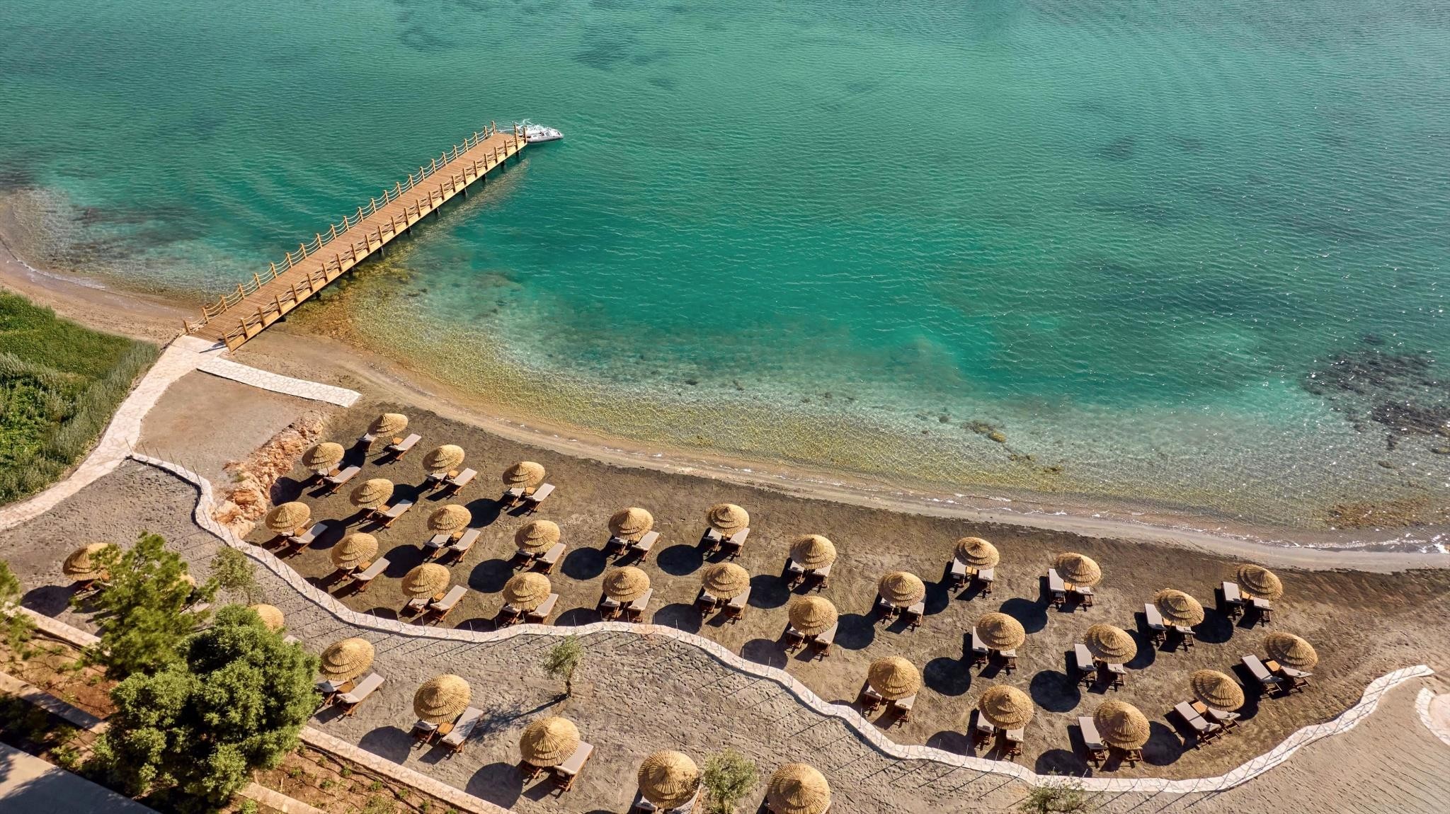 Anda Barut Collection 6