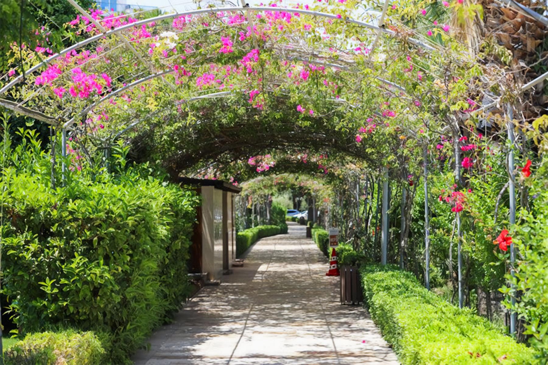 Venosa Beach and Spa 33