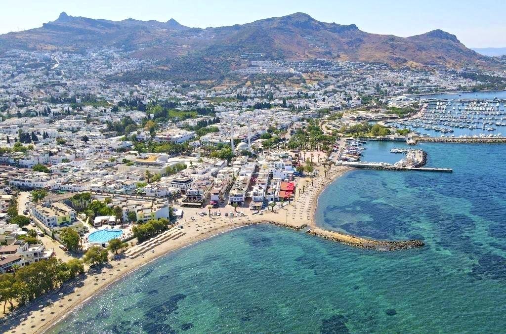 listing card gallery