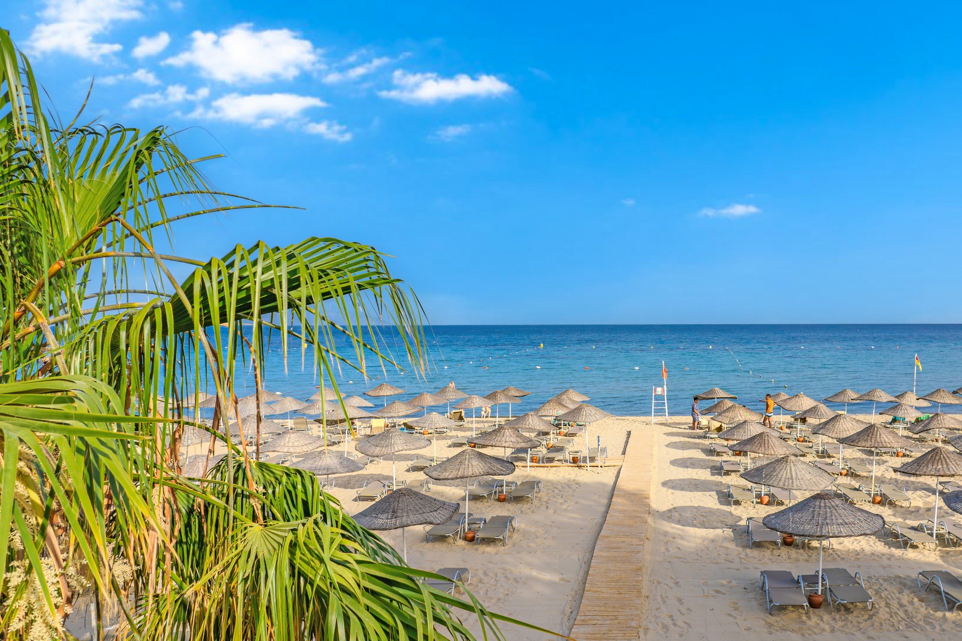 FLORA GARDEN EPHESUS 8