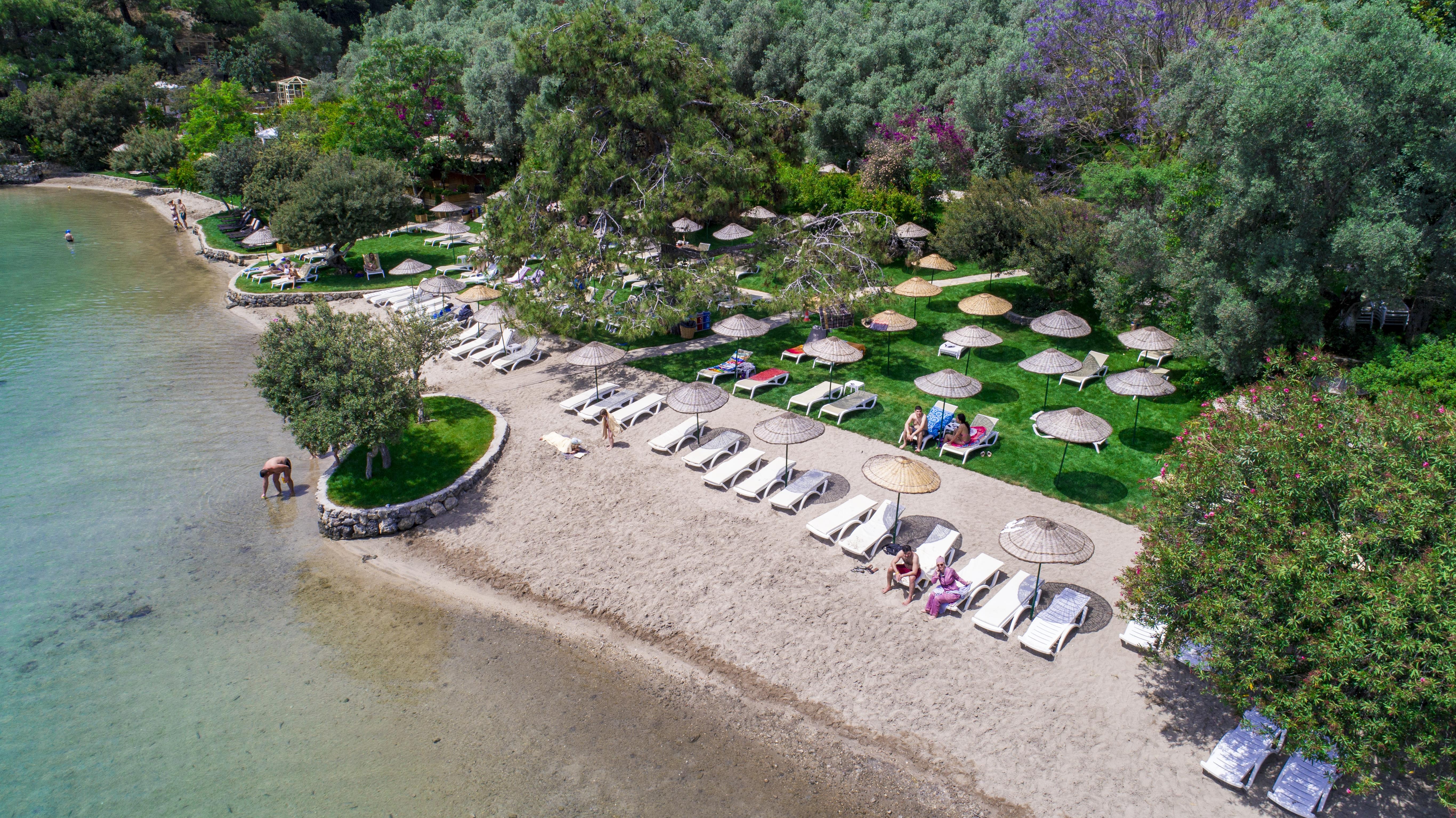 Sundia by Liberty Suncity 10