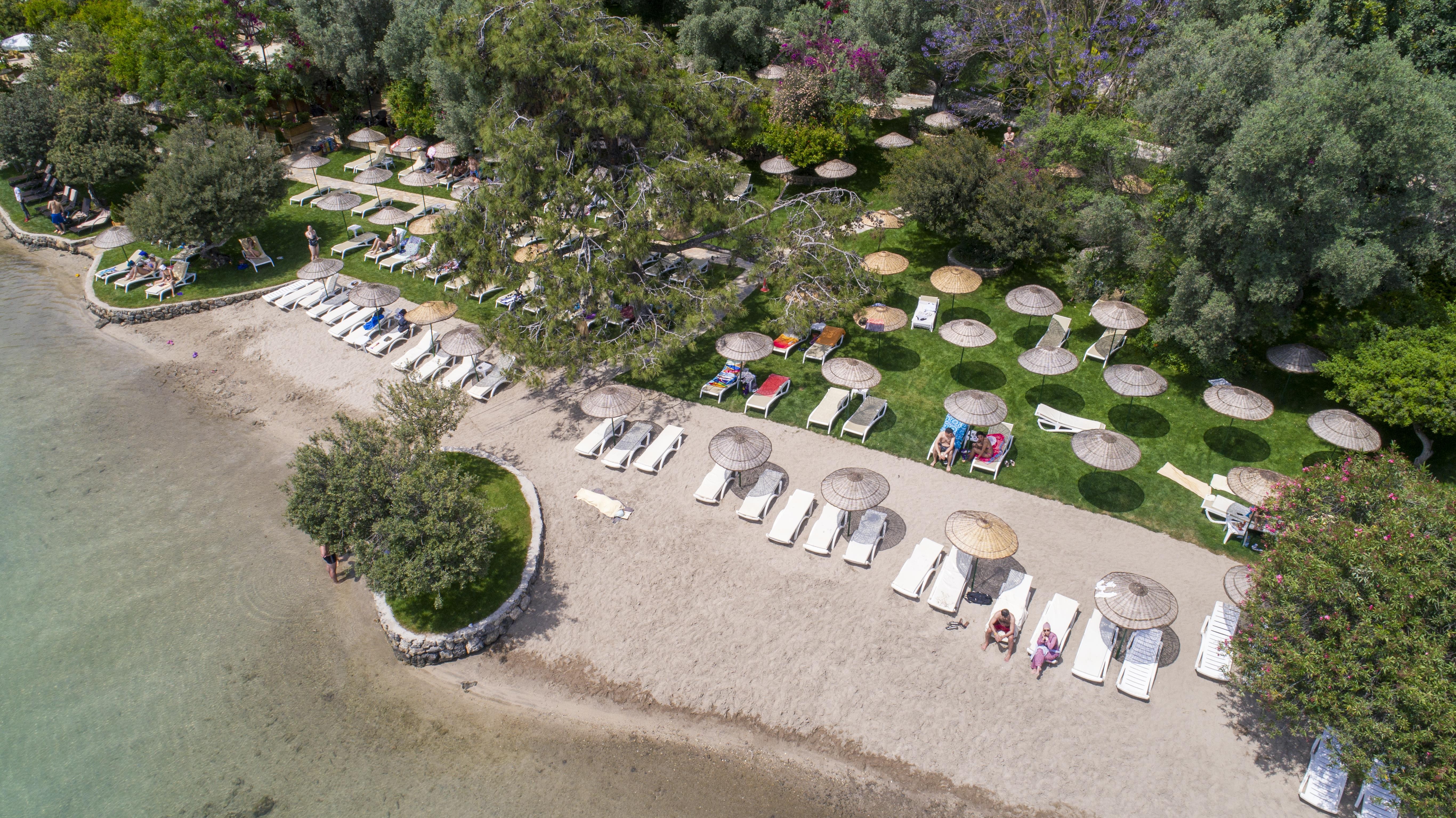 Sundia by Liberty Suncity 11