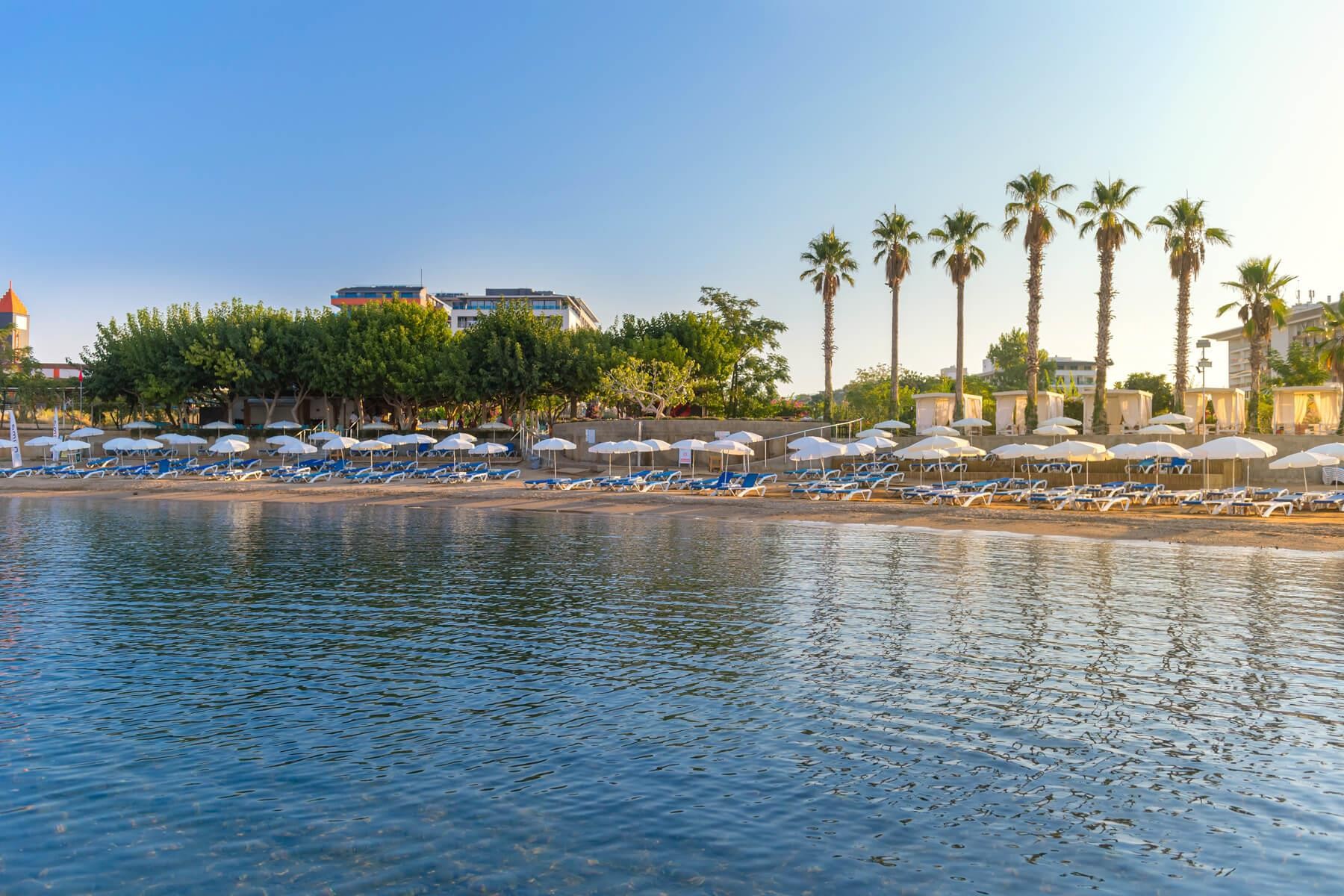 Numa Bay Exclusive 49